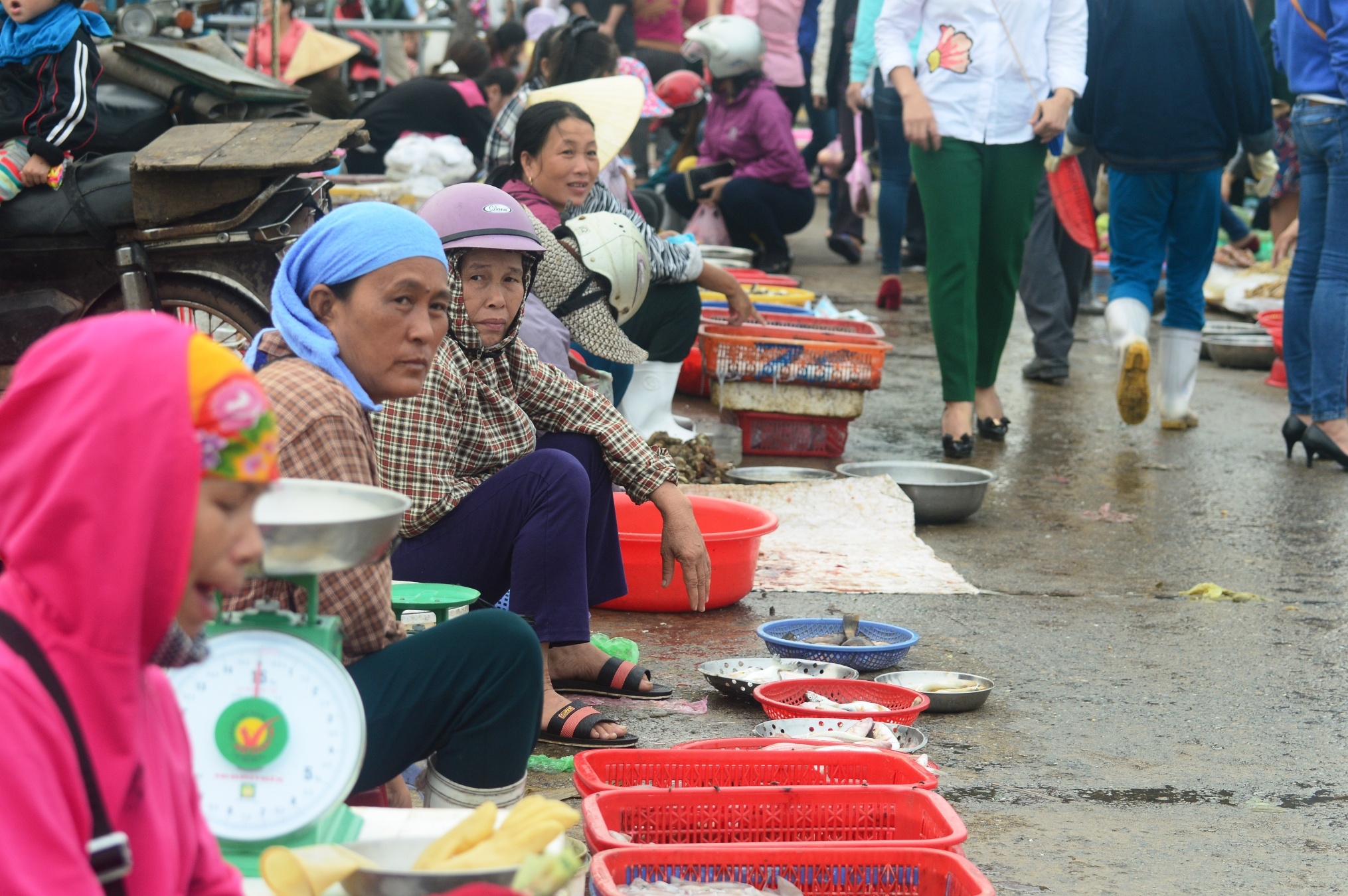 ca chet hang loat o mien trung anh 12