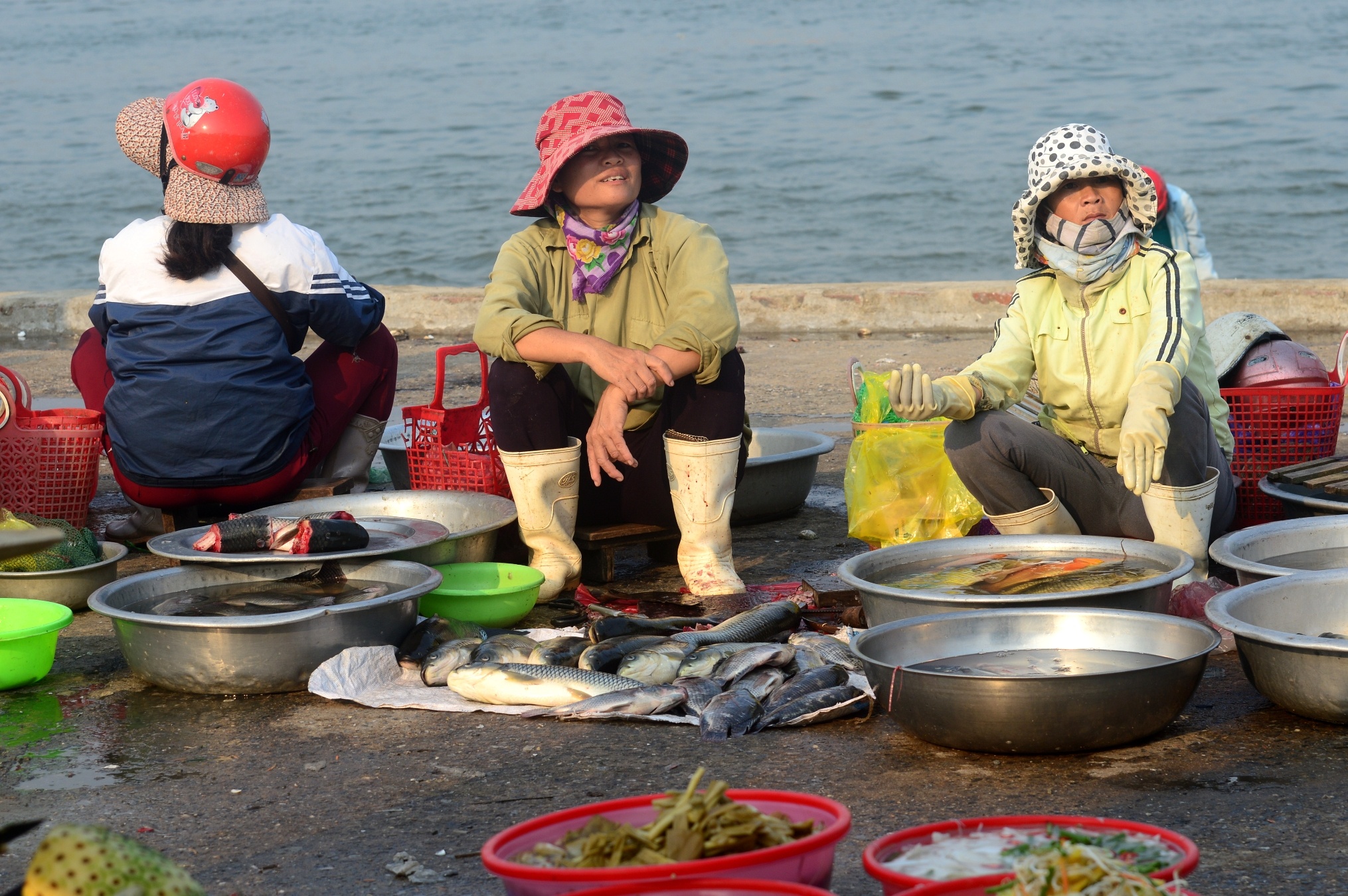 Dan mien Trung khong mua ca anh 5