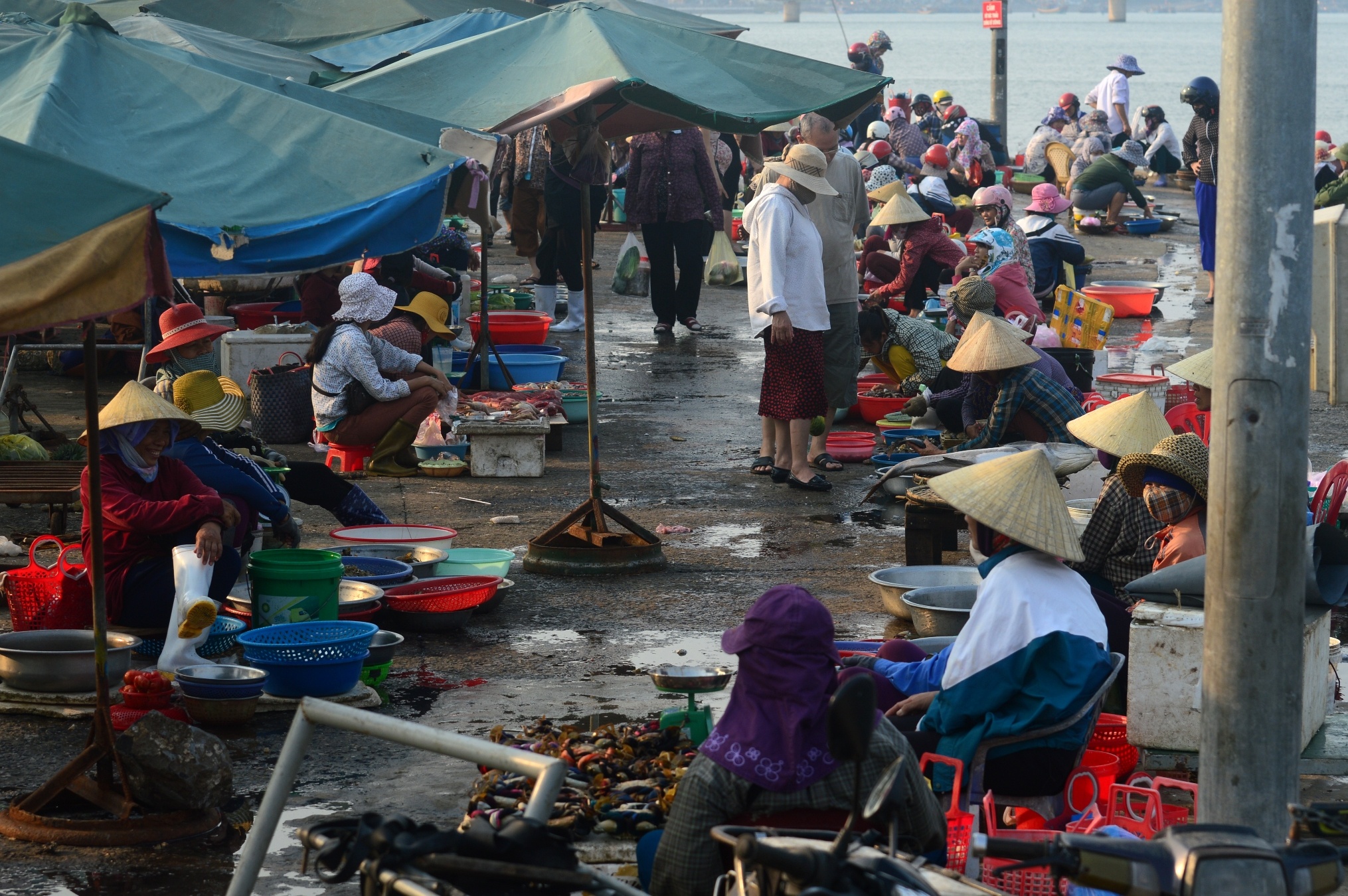 Dan mien Trung khong mua ca anh 4