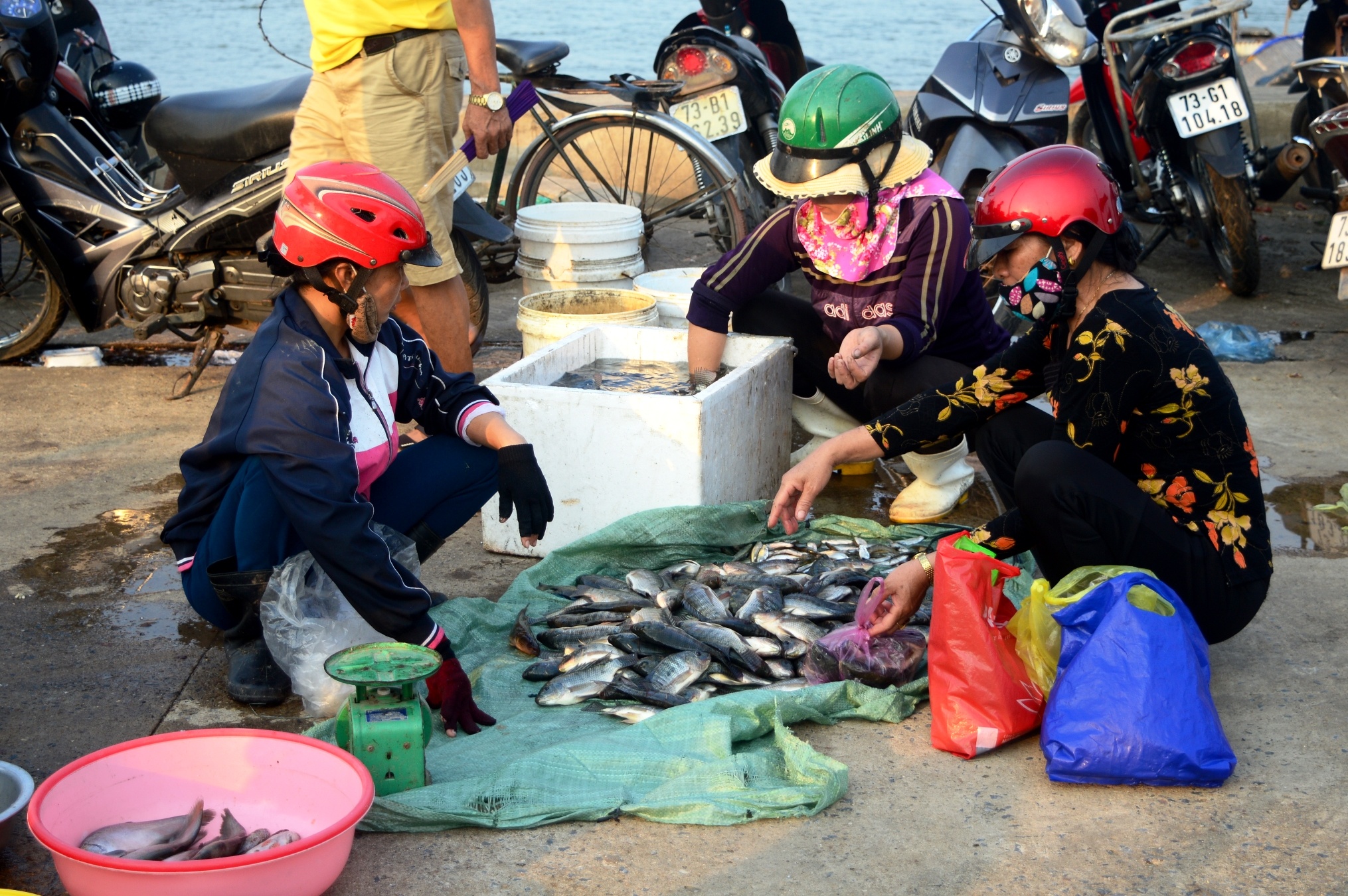 Dan mien Trung khong mua ca anh 6