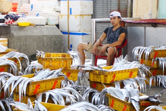 Dan mien Trung khong mua ca, cho thua bong tieu thuong hinh anh