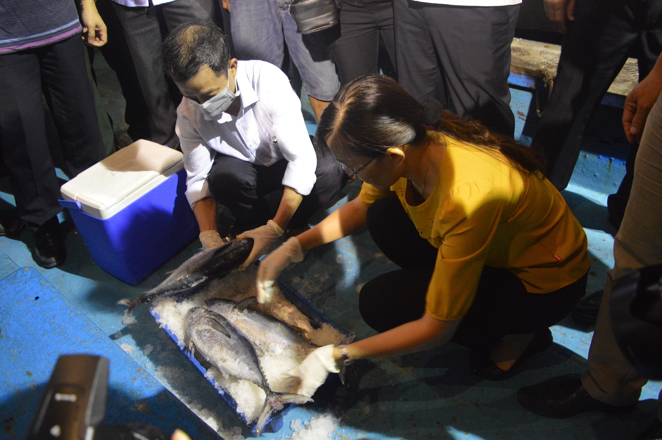 Bo truong an ca tren tau cua ngu dan anh 4