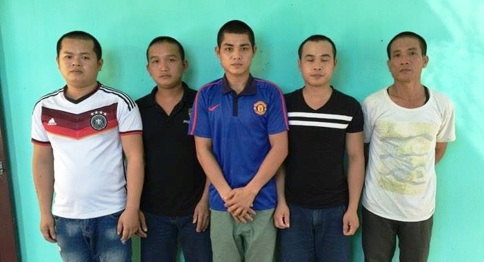 Tron vao rung sau khi cua trom hon 100 cay cao su hinh anh