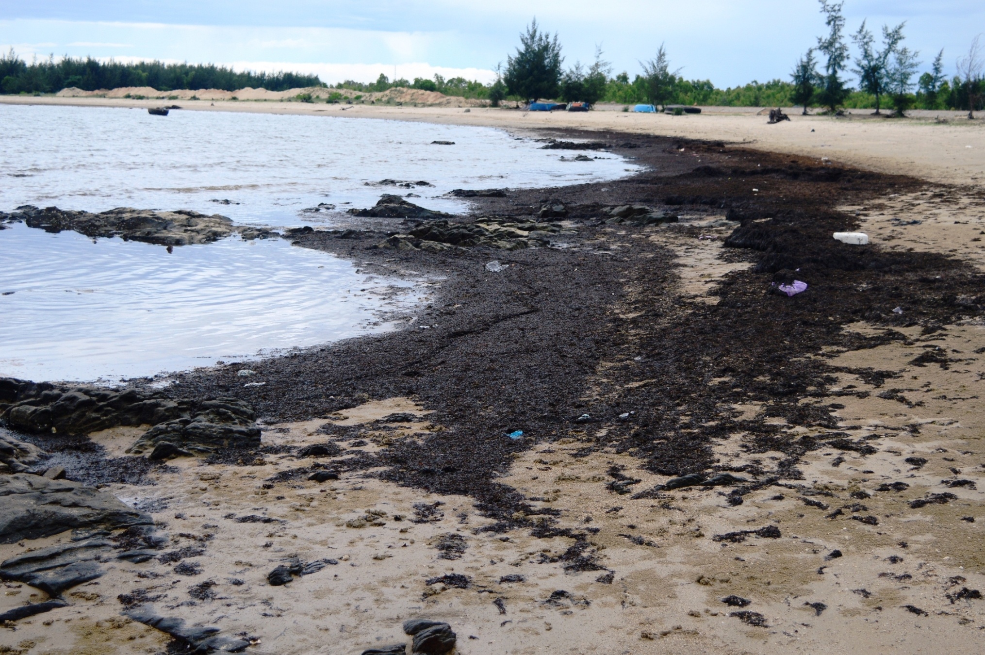 Rong chet dat bo xep lop day dac anh 2