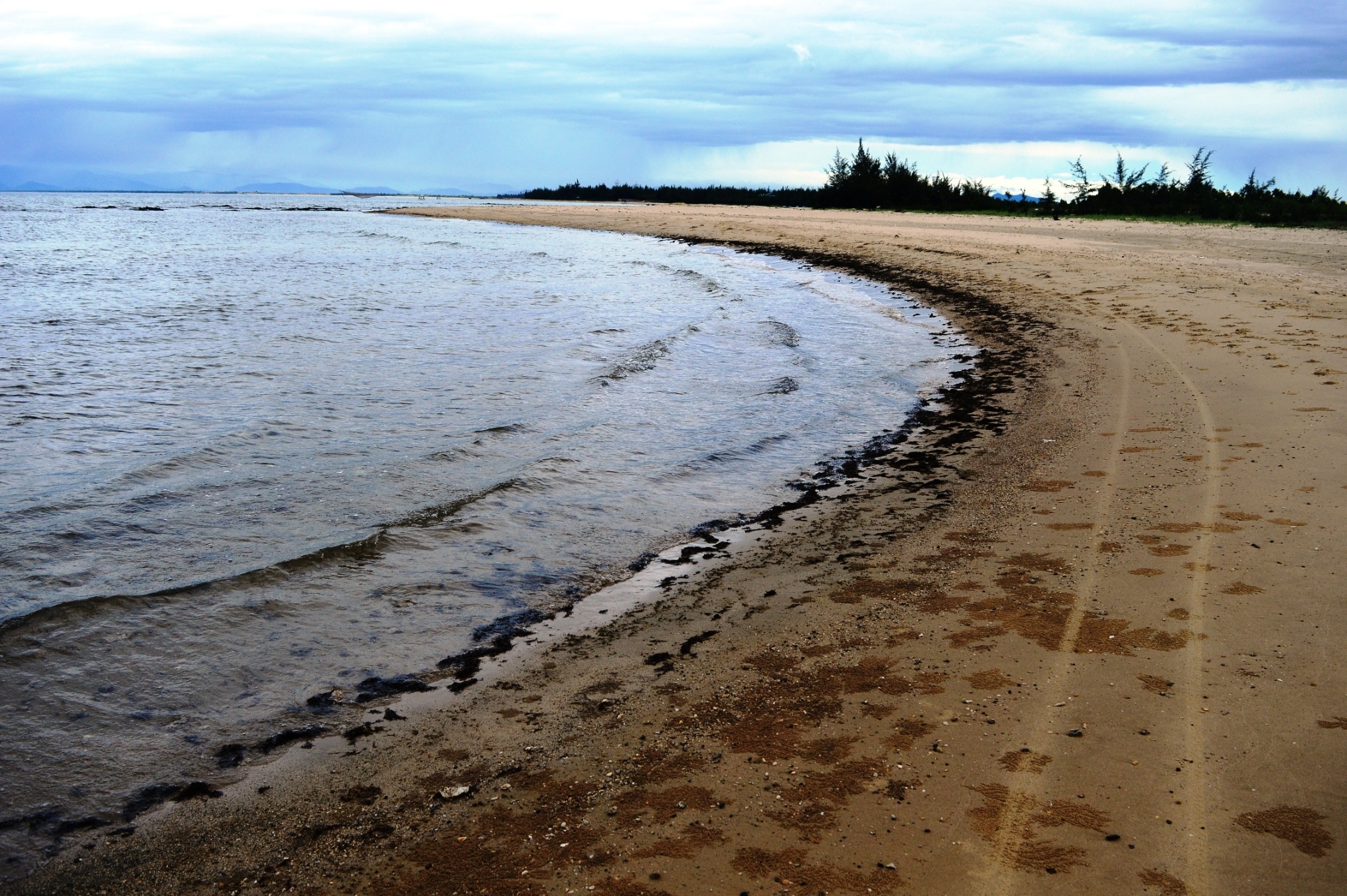 Rong chet dat bo xep lop day dac anh 6