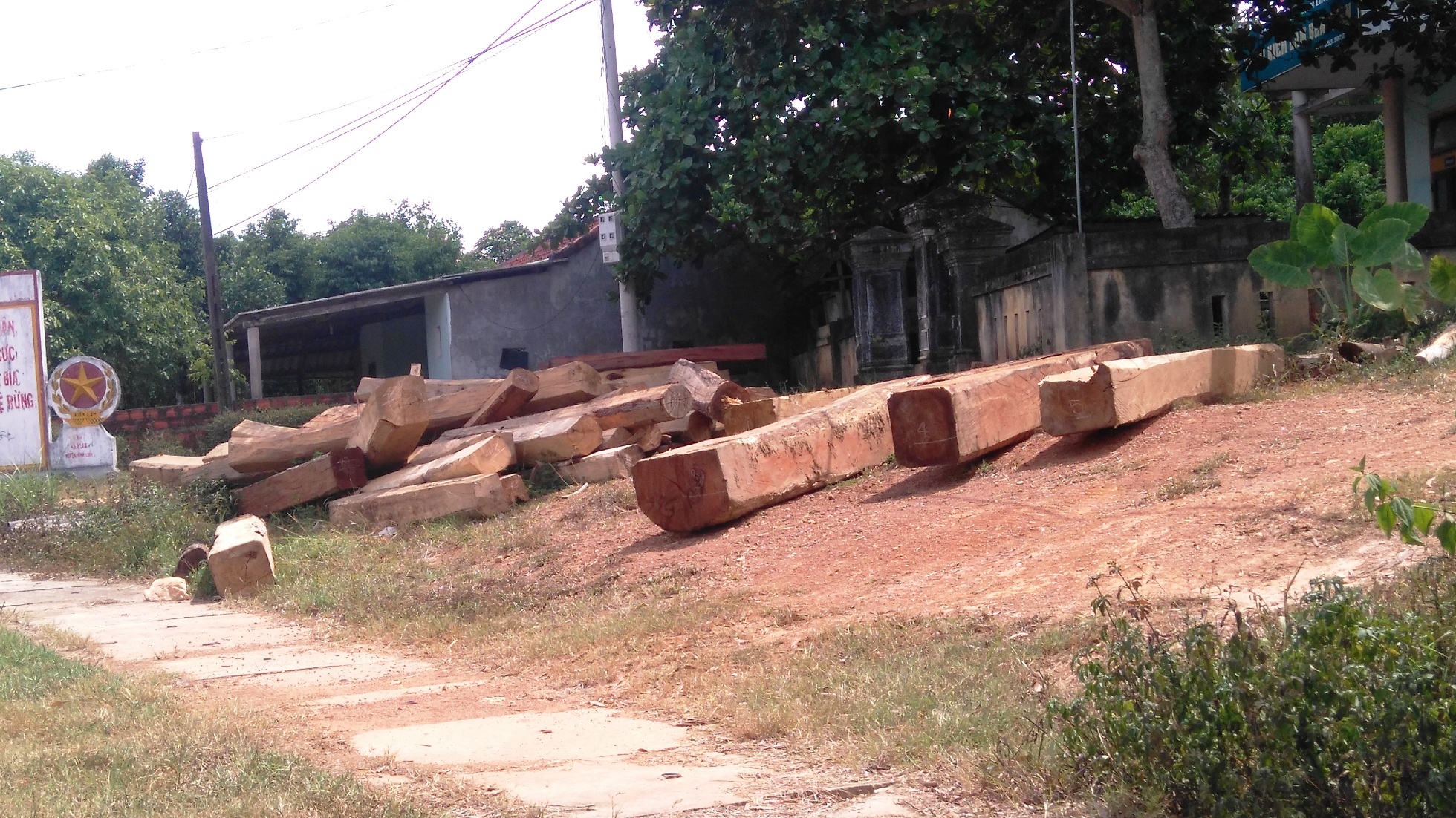 De nghi cach chuc, luan chuyen nhieu kiem lam o Quang Tri hinh anh