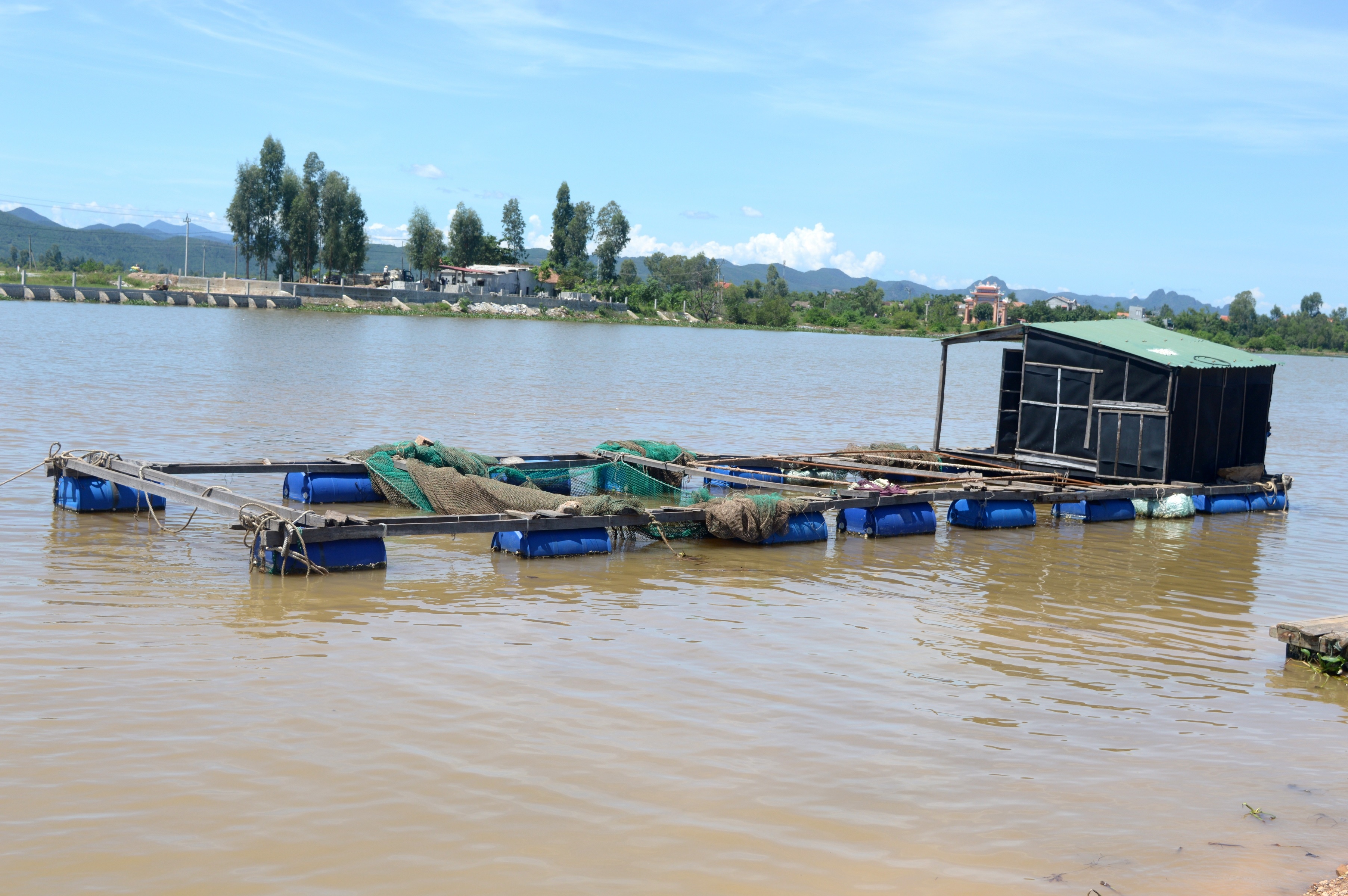 cá chết bất thường ở sông Gianh ảnh 1 ca chet bat thuong o song Gianh anh 1