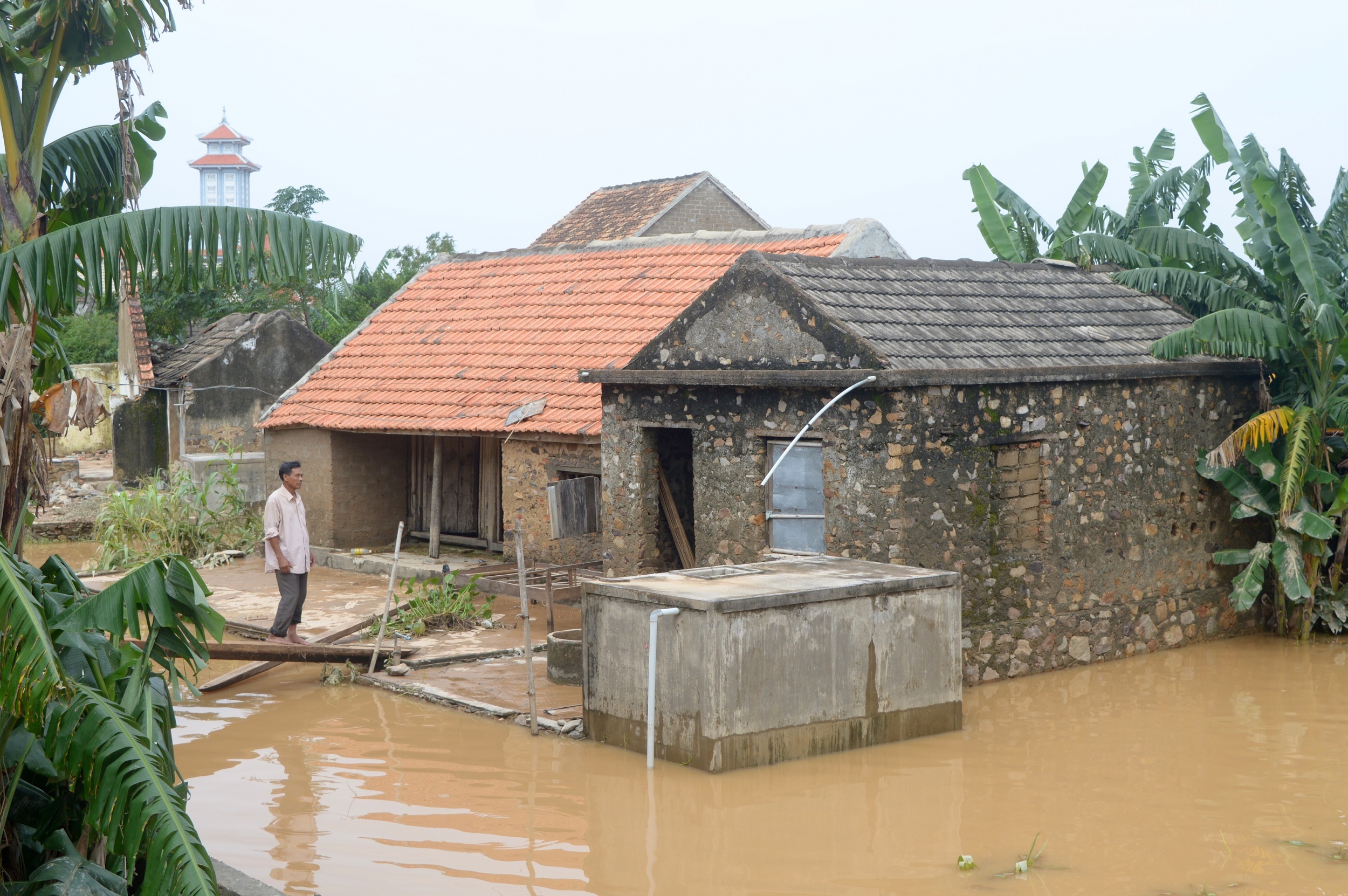 phan nguoi mong manh trong lu du anh 1