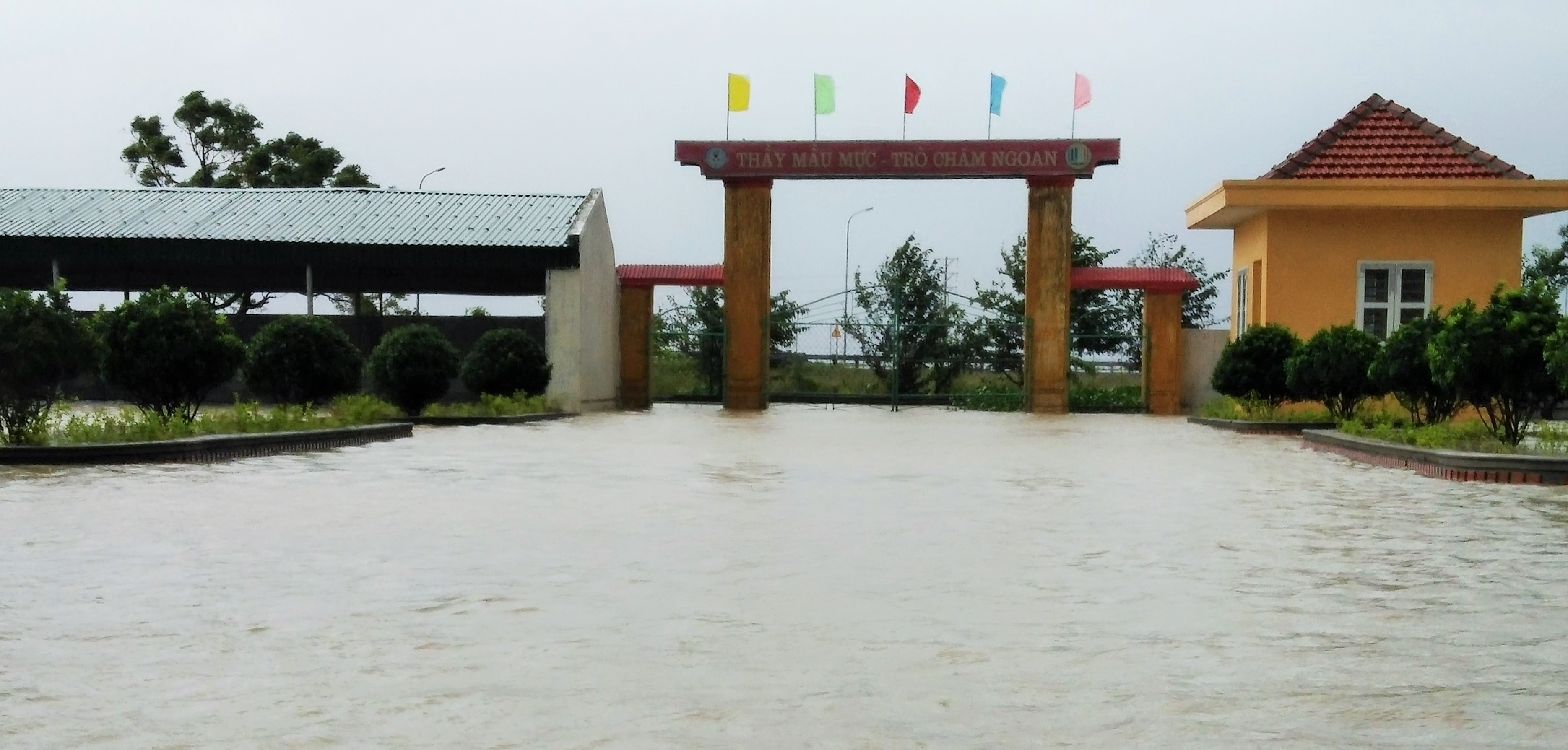 Lu len nhanh o mien Trung anh 1