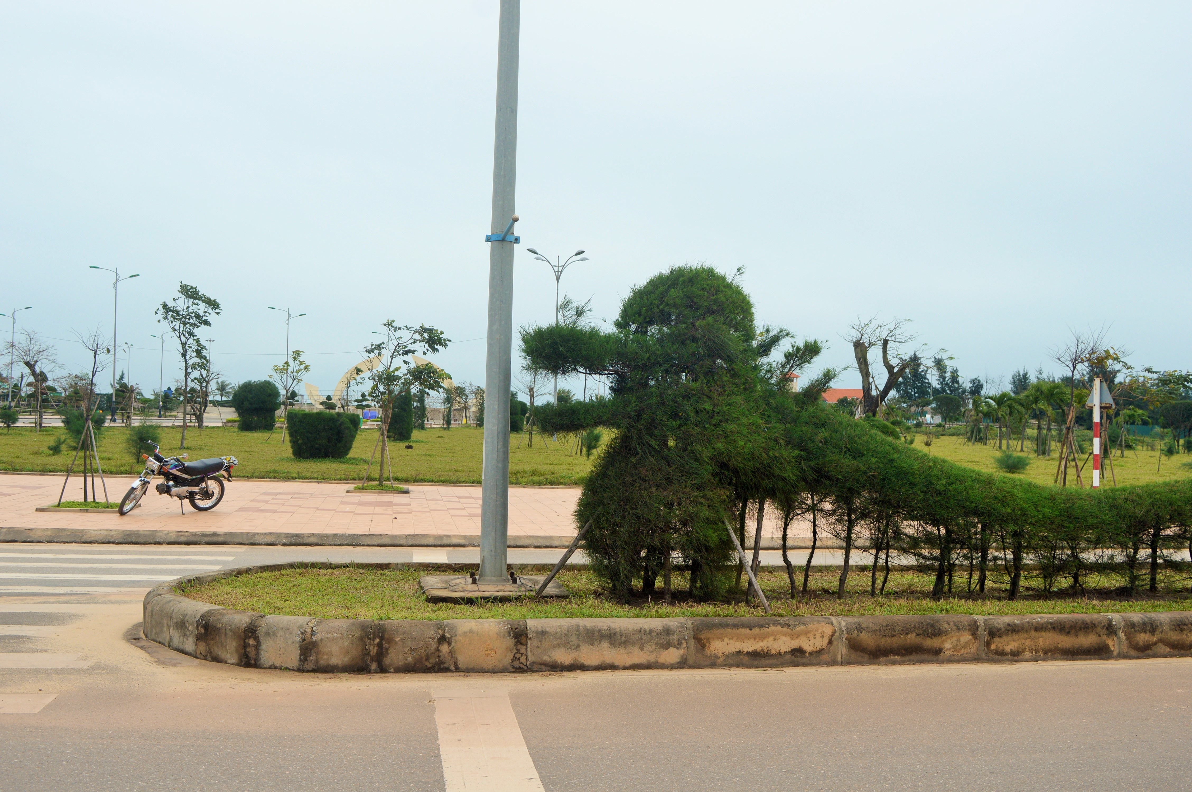 Dan mang lai soi suc voi 'rong Pikachu' o Quang Binh hinh anh