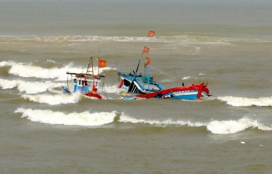 Vao cang tranh thoi tiet xau, tau ca bi loc xoay danh chim hinh anh