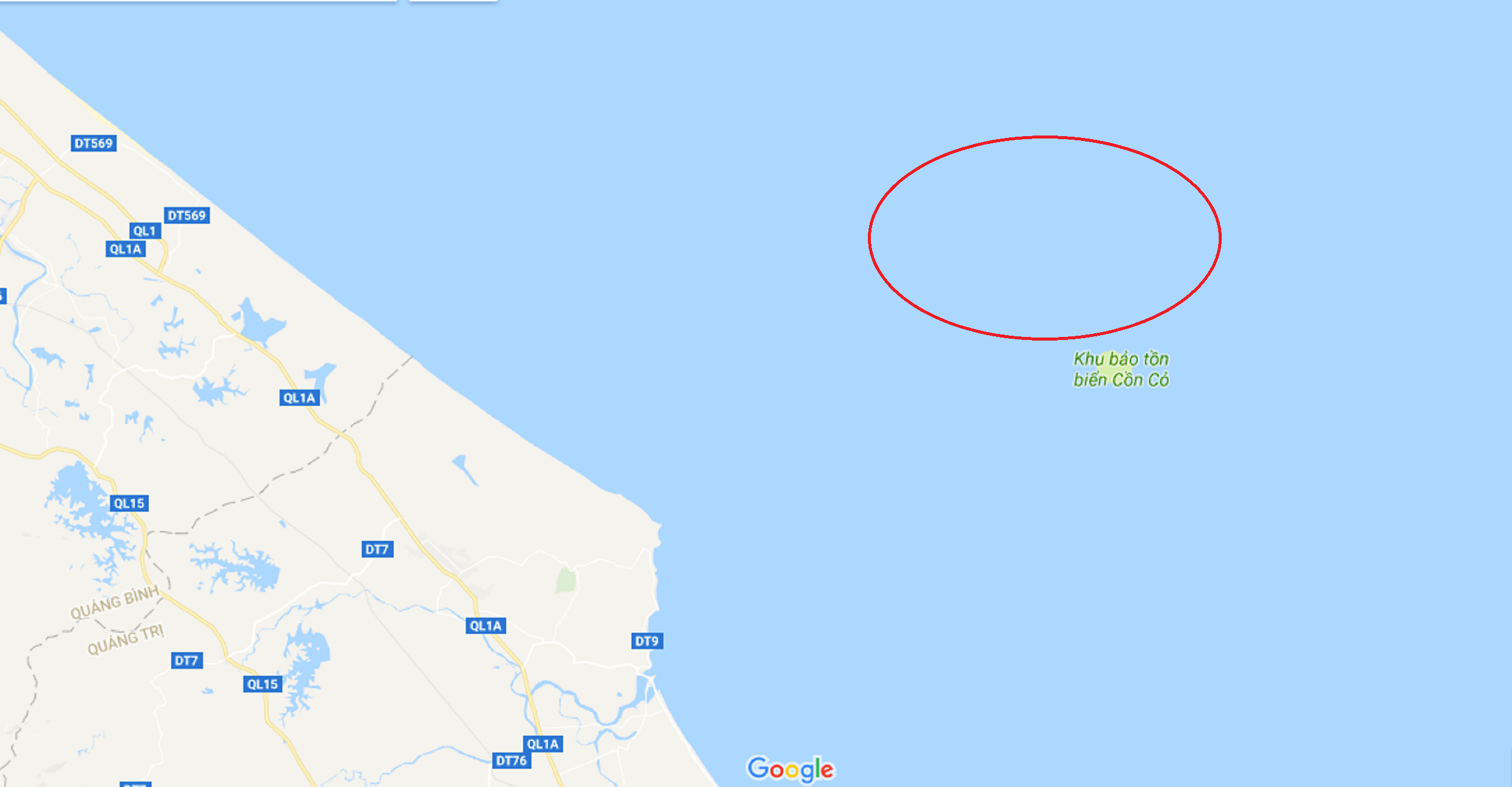 Bun la bam vao luoi ca anh 1