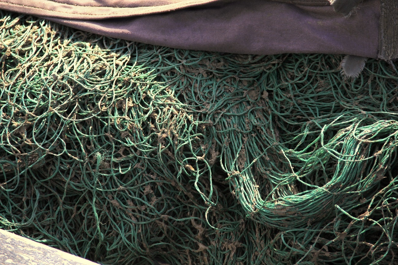 Sau Quang Tri den luot ngu dan Quang Binh dinh 'bun la' hinh anh