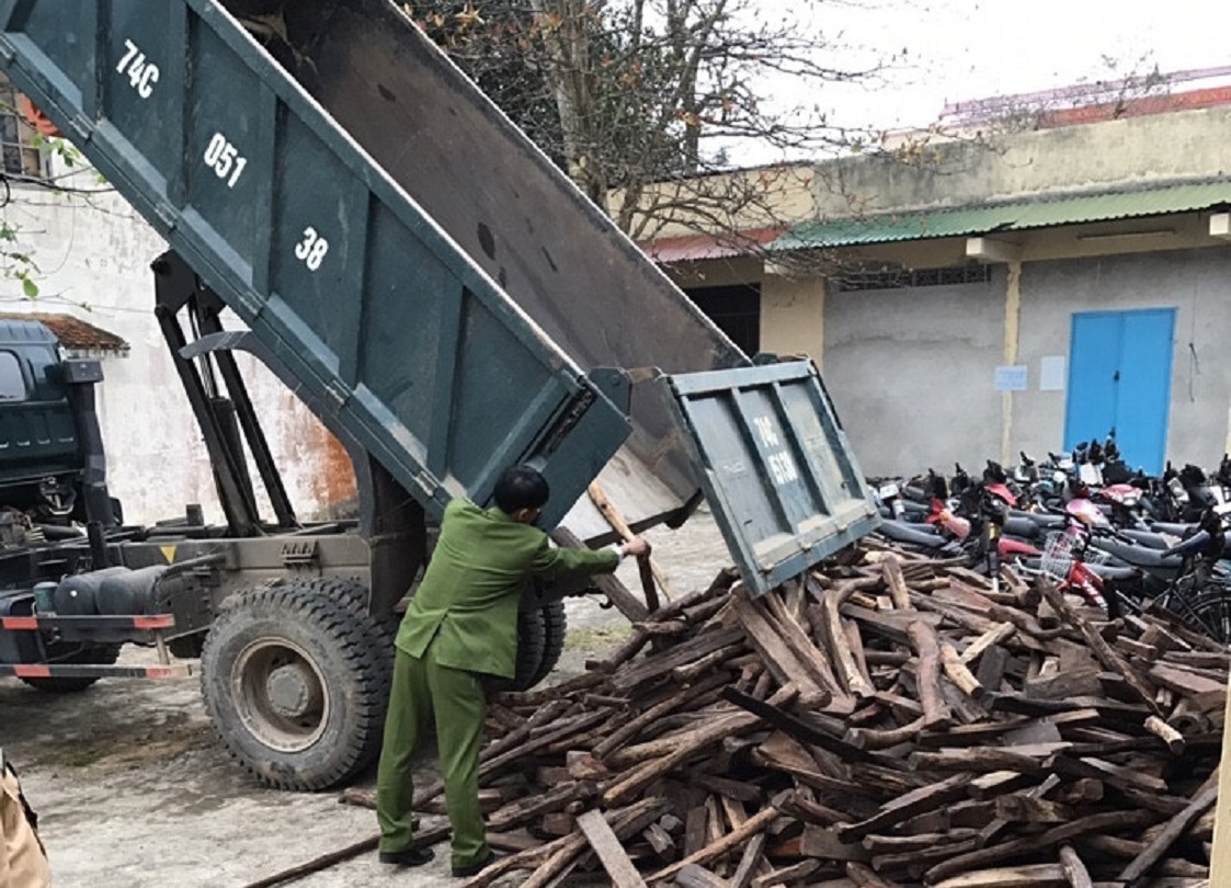 Hon 2 tan go lau duoi tam bat phu kin hinh anh