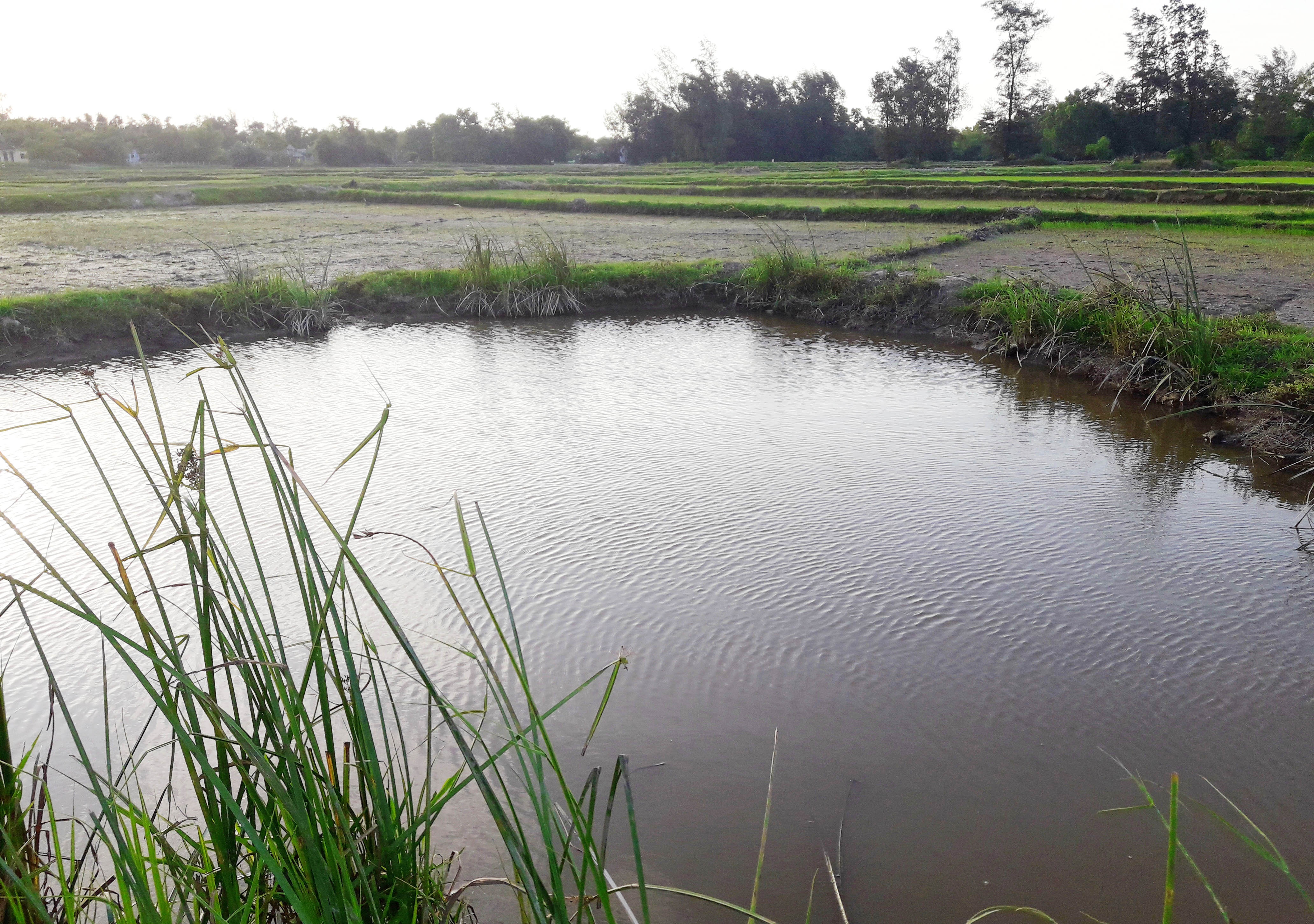 nam sinh lớp 9 tử vong khi đánh cá bằng chích điện ảnh 1 nam sinh lop 9 tu vong khi danh ca bang chich dien anh 1