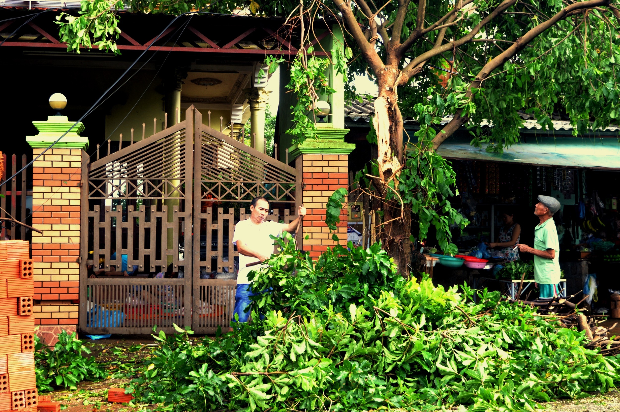 thi tran vung tam bao tan hoang sau bao so 4 anh 3