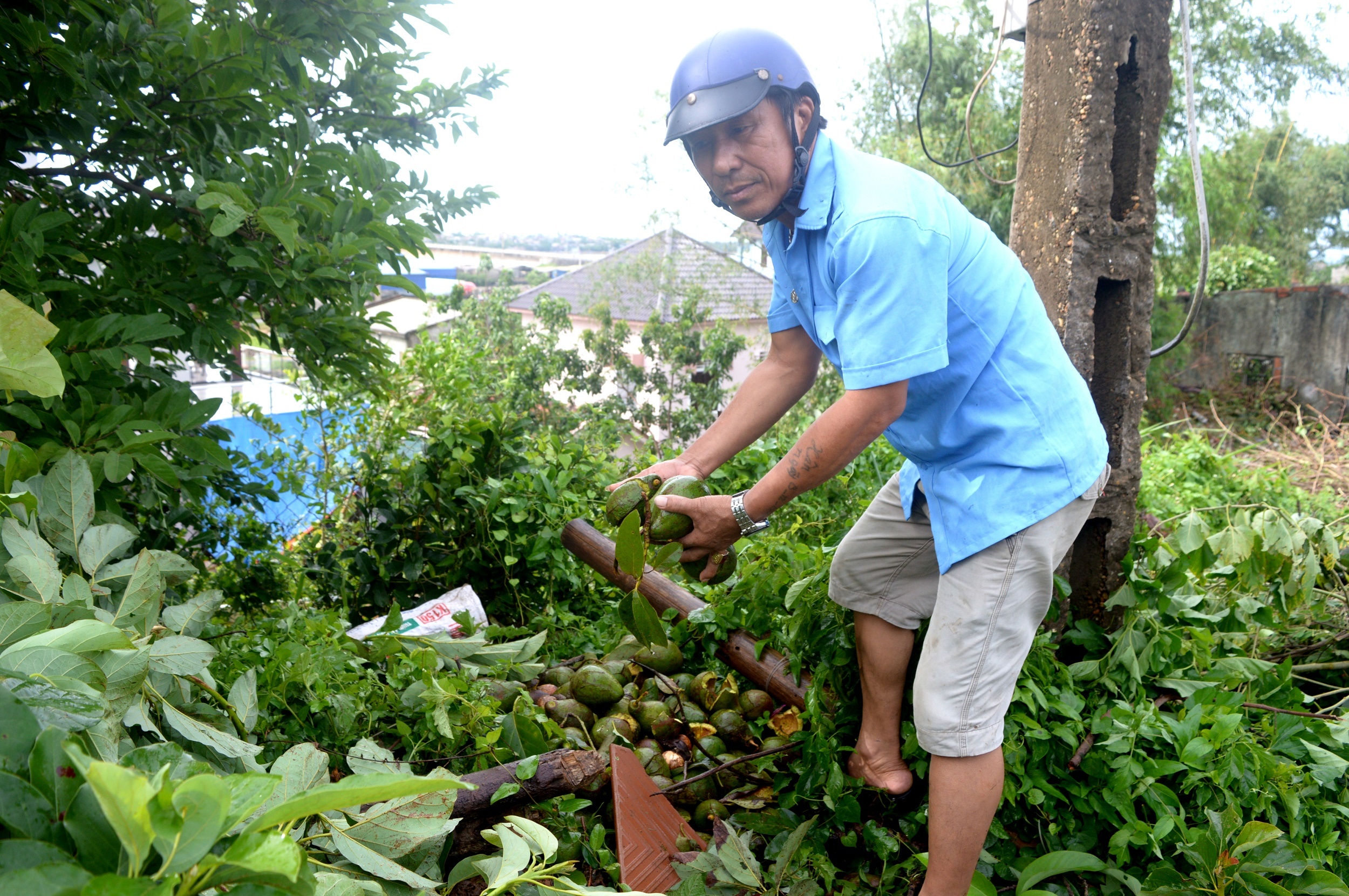 thi tran vung tam bao tan hoang sau bao so 4 anh 9