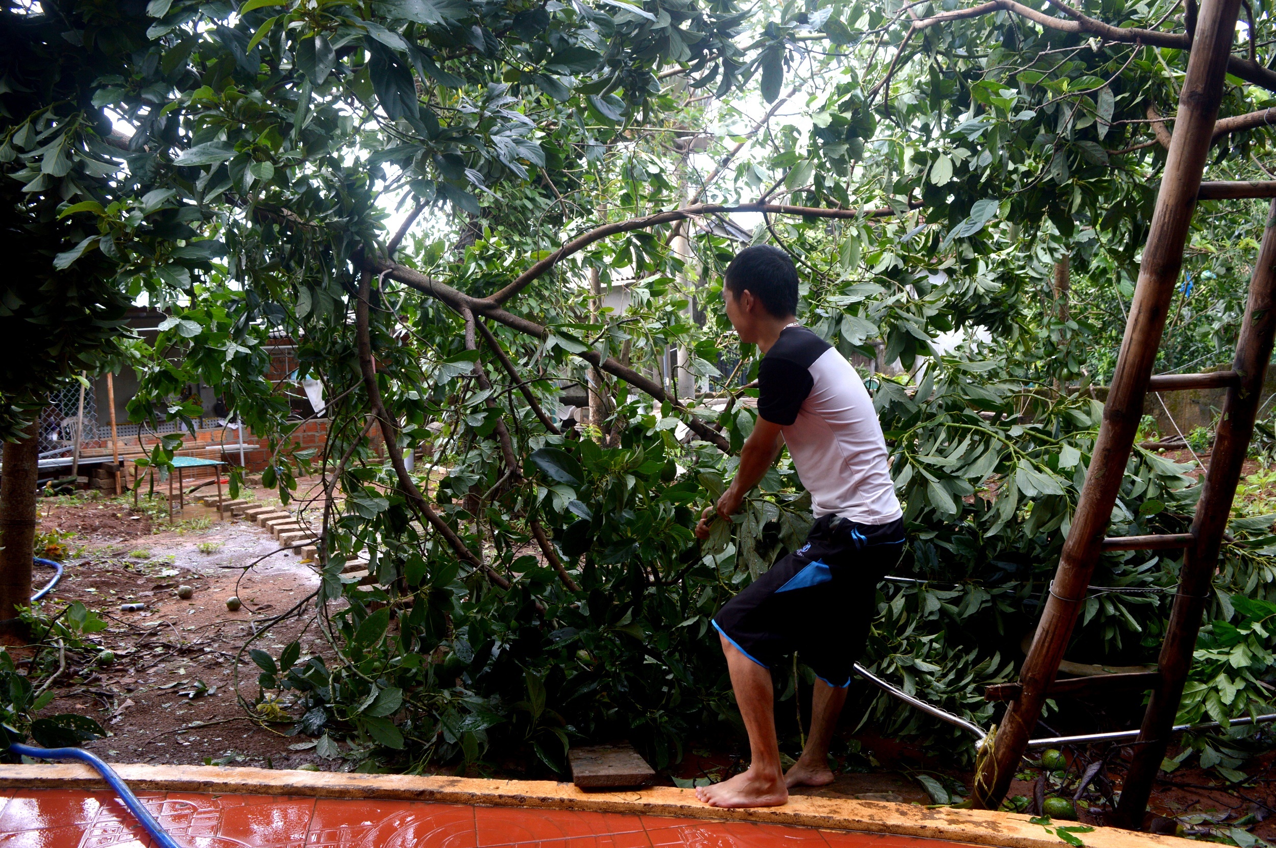 thi tran vung tam bao tan hoang sau bao so 4 anh 2