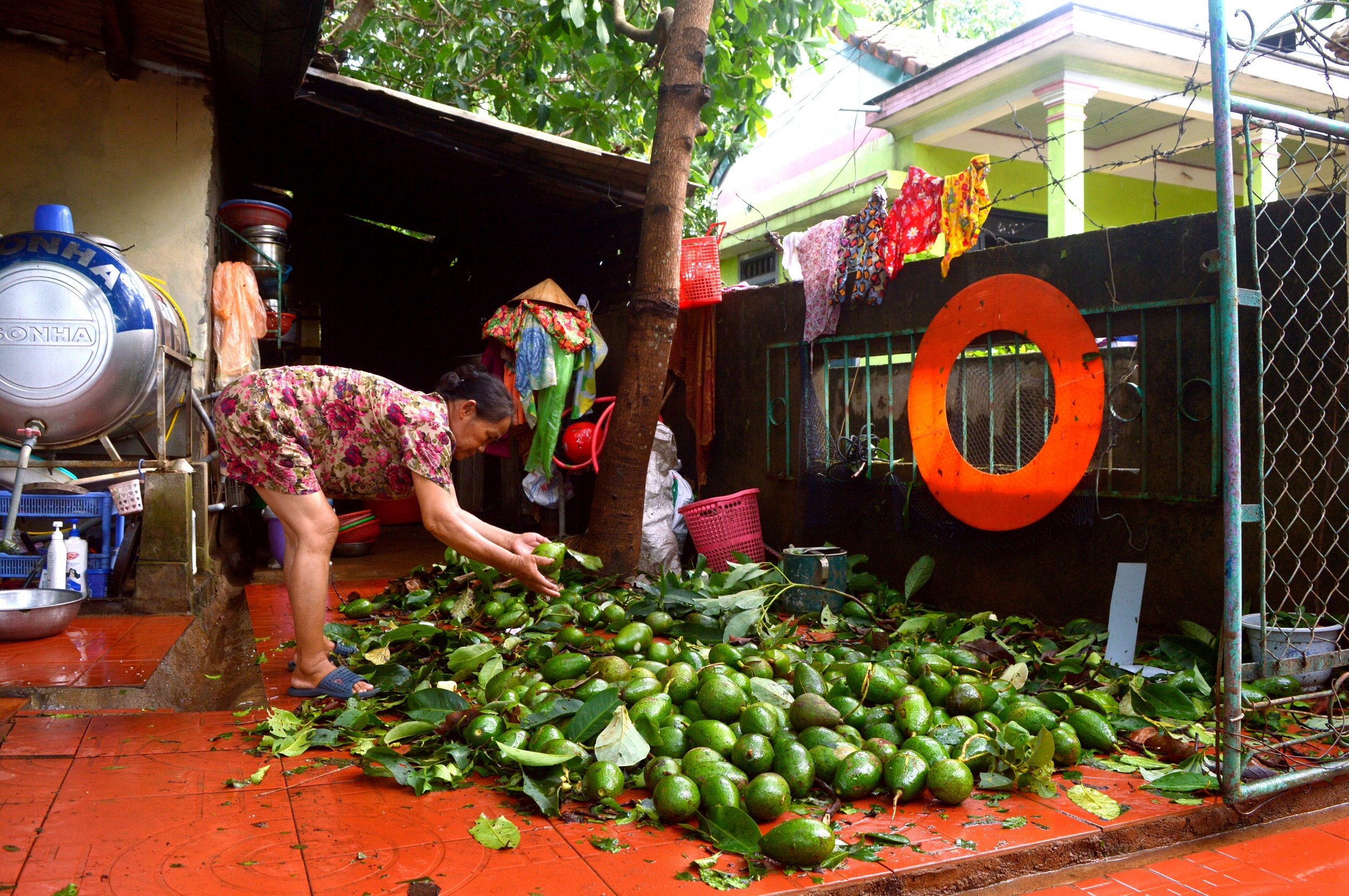 thi tran vung tam bao tan hoang sau bao so 4 anh 8