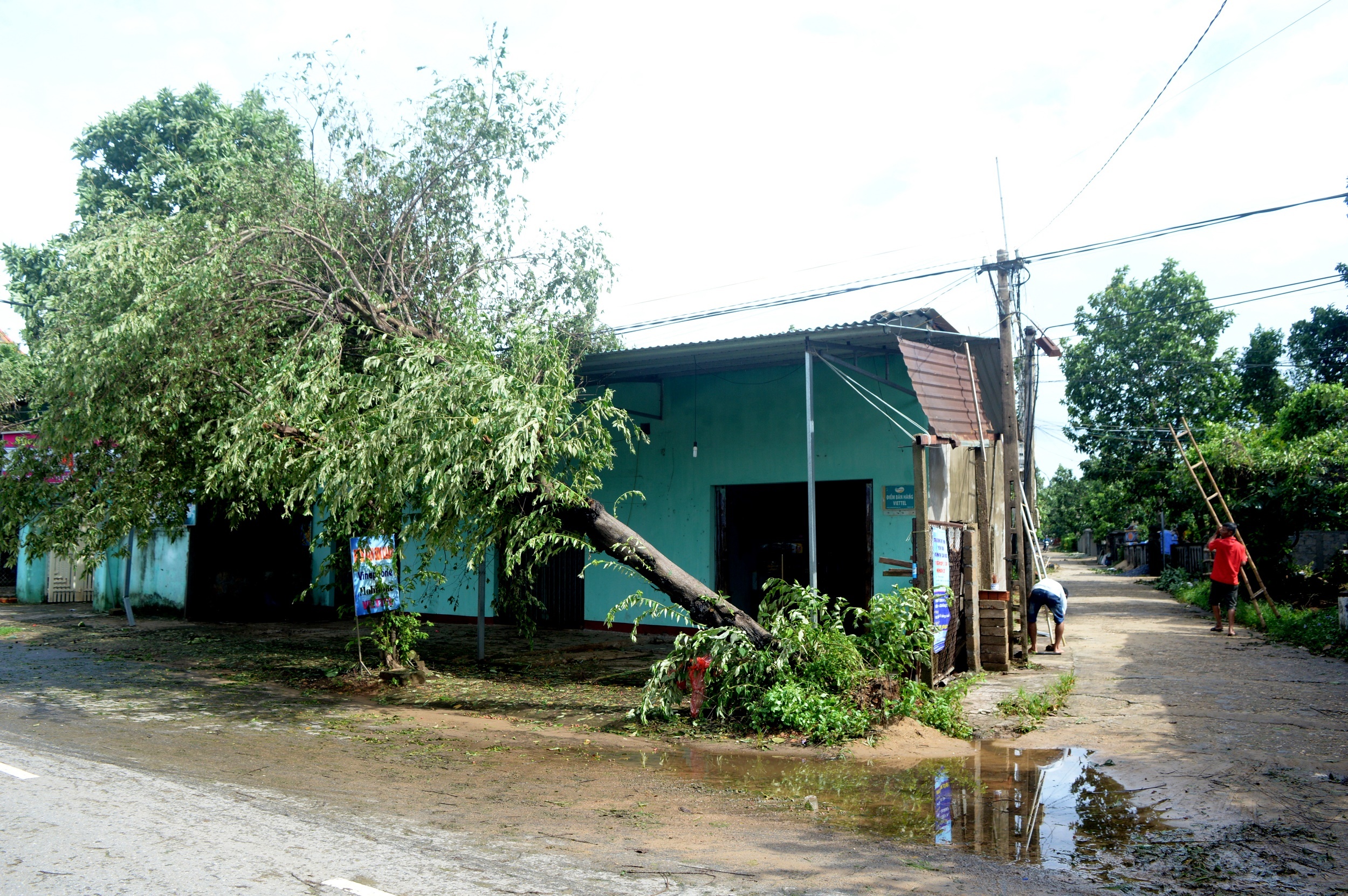 thi tran vung tam bao tan hoang sau bao so 4 anh 7