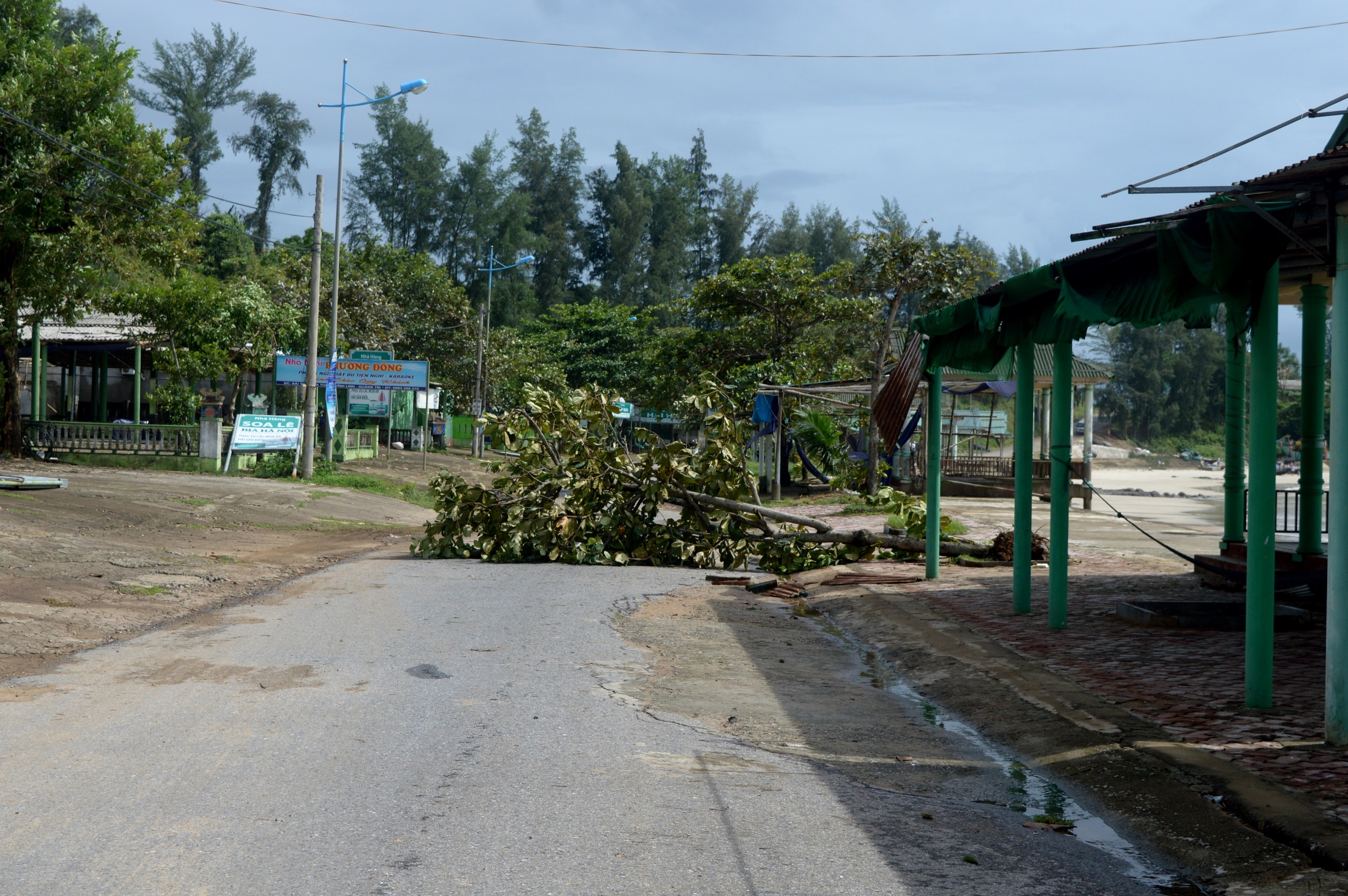 thi tran vung tam bao tan hoang sau bao so 4 anh 1