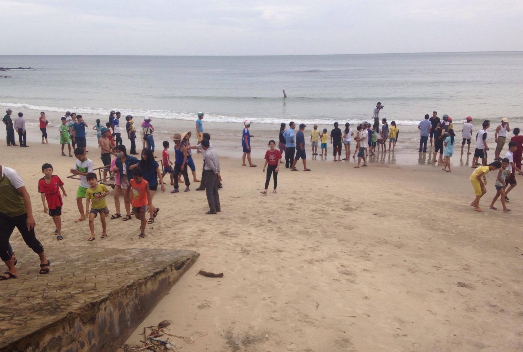 rùa biển quý hiếm nặng 70 cân mắc lưới ngư dân ảnh 1 rua bien quy hiem nang 70 can mac luoi ngu dan anh 1