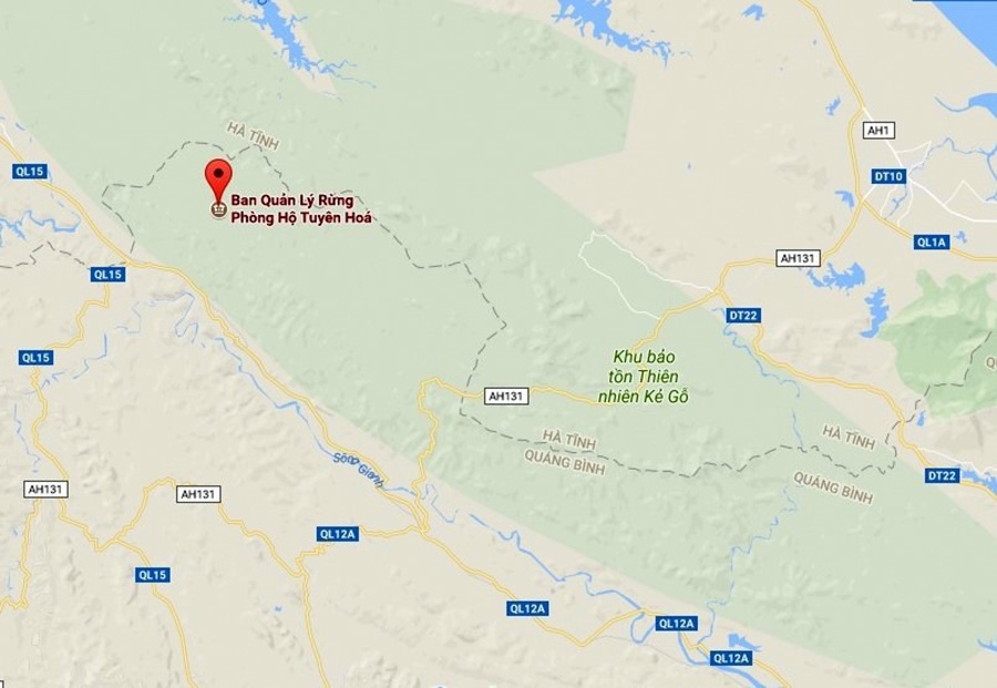 Giám đốc rừng phòng hộ bỏ nhiệm sở ảnh 1 Giam doc rung phong ho bo nhiem so anh 1