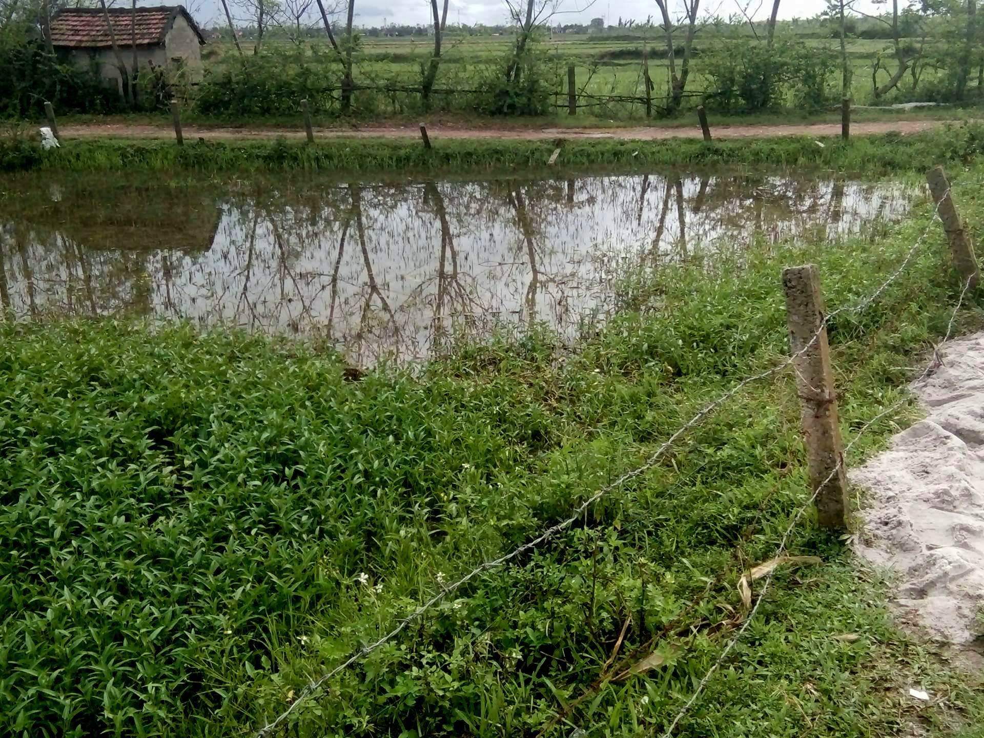 Hai nguoi tu vong do bi dien giat khi ra ca ban dem hinh anh