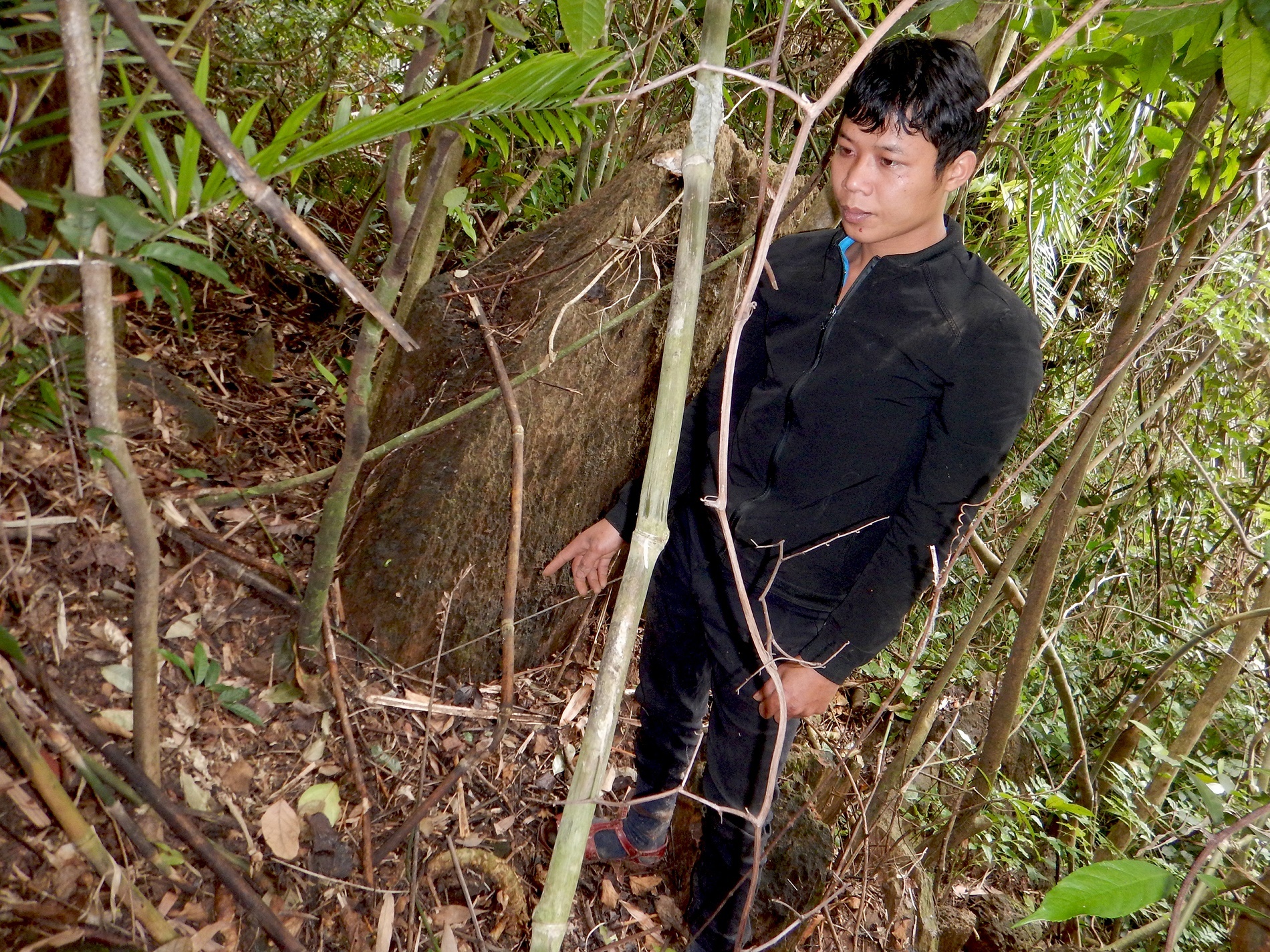 9X săn trộm thú rừng trong rừng cấm ảnh 2 9X san trom thu rung trong rung cam anh 2