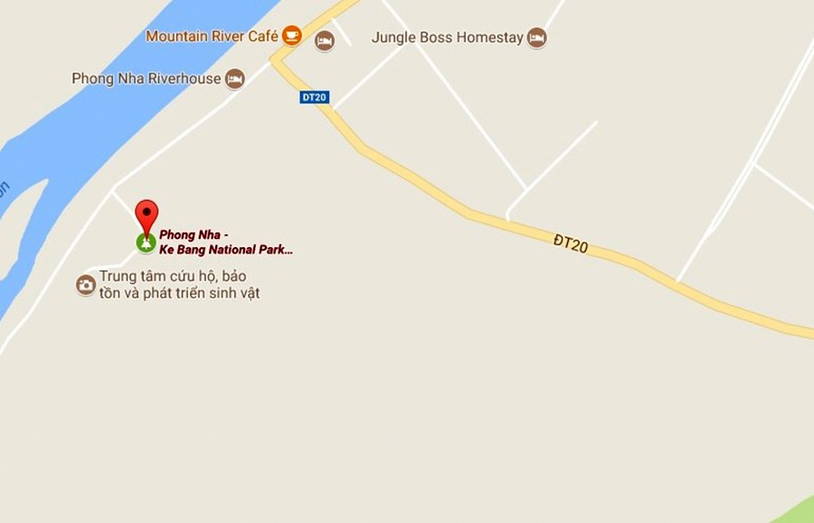 9X săn trộm thú rừng trong rừng cấm ảnh 3 9X san trom thu rung trong rung cam anh 3