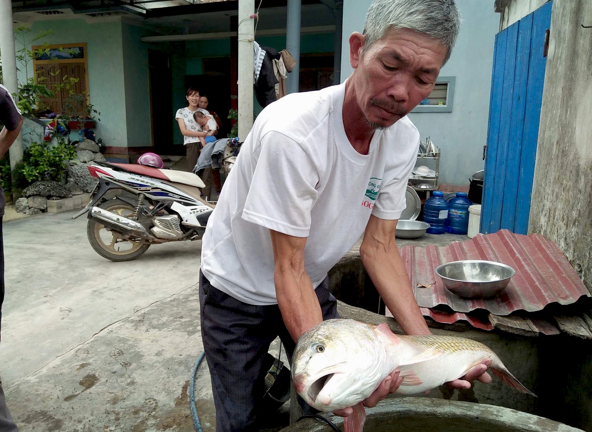 Ngu dan bat duoc ca la nghi su vang hon 4 kg anh 2