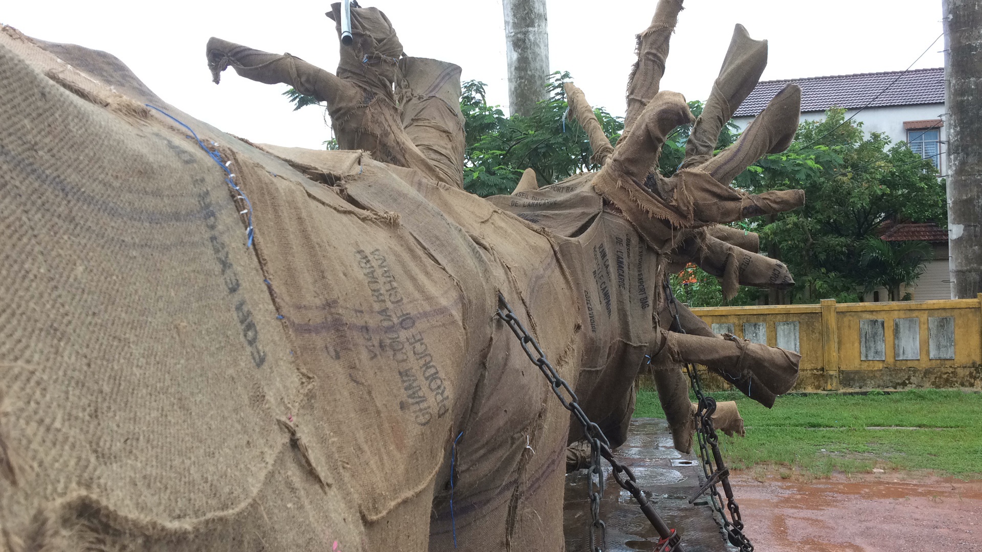 CSGT bat xe cho cay khong lo, vuot chieu cao cho phep hinh anh