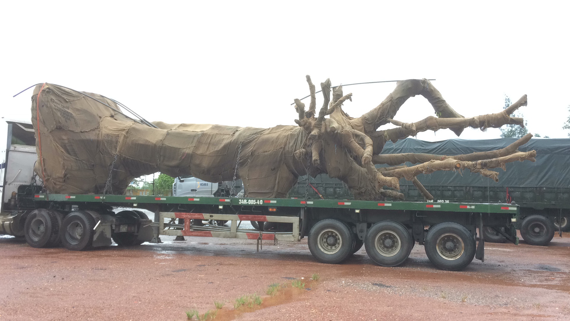 Canh sat giao thong giu xe tai cho cay khung anh 1