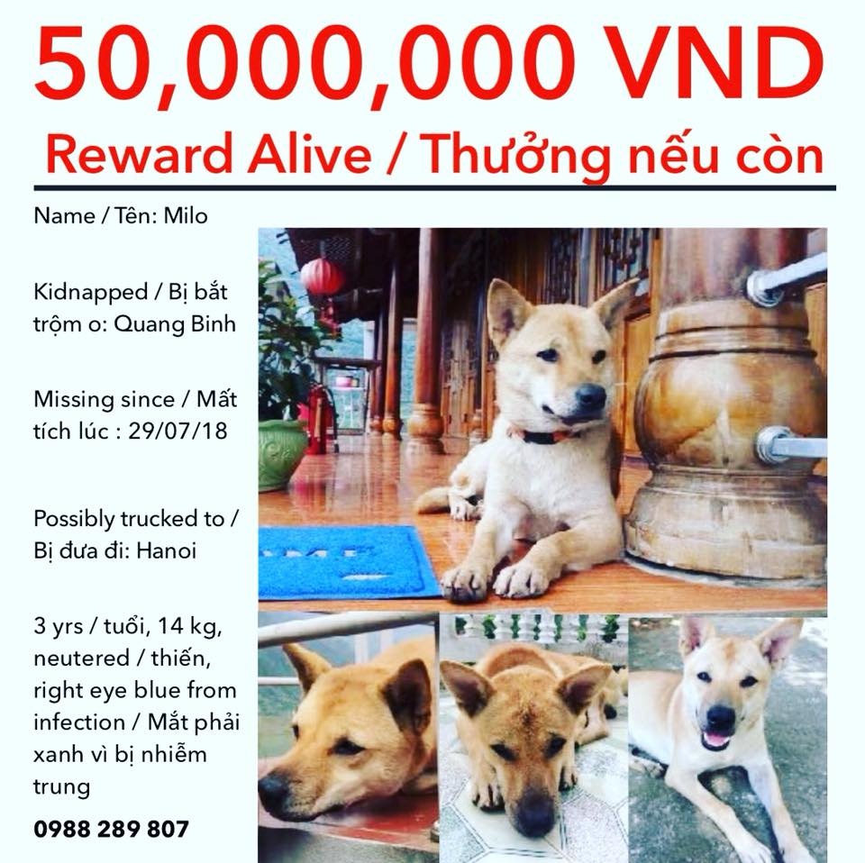 Treo thưởng 50 triệu ảnh 1 Treo thuong 50 trieu anh 1