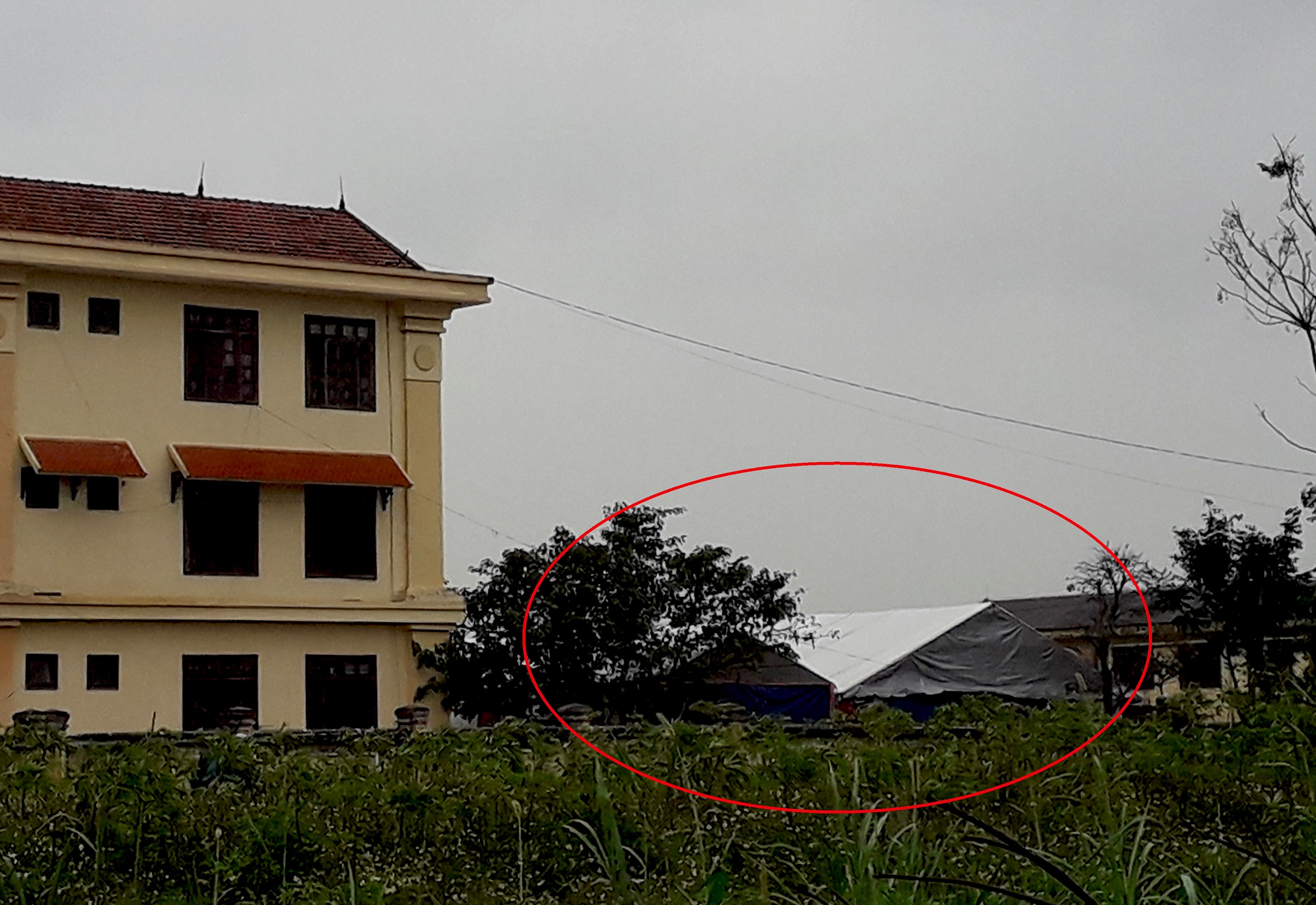 Đề nghị xử lý Chủ tịch xã cho phép tổ chức đám cưới ở sân trụ sở ảnh 1 De nghi xu ly Chu tich xa cho phep to chuc dam cuoi o san tru so anh 1