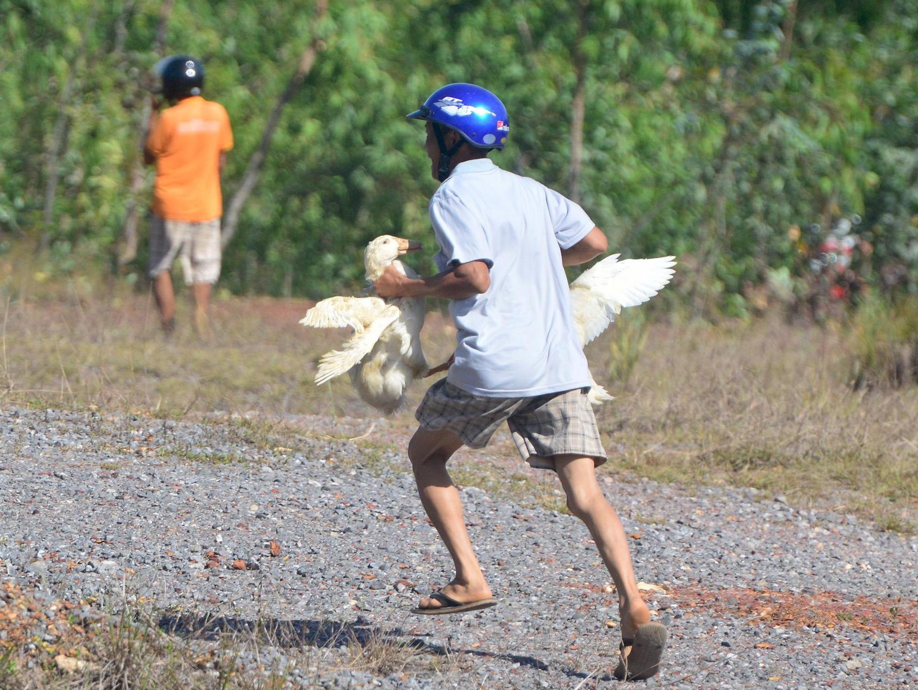 Xe tai lat, hang tram con vit bi dan hoi cua cuop mat hinh anh