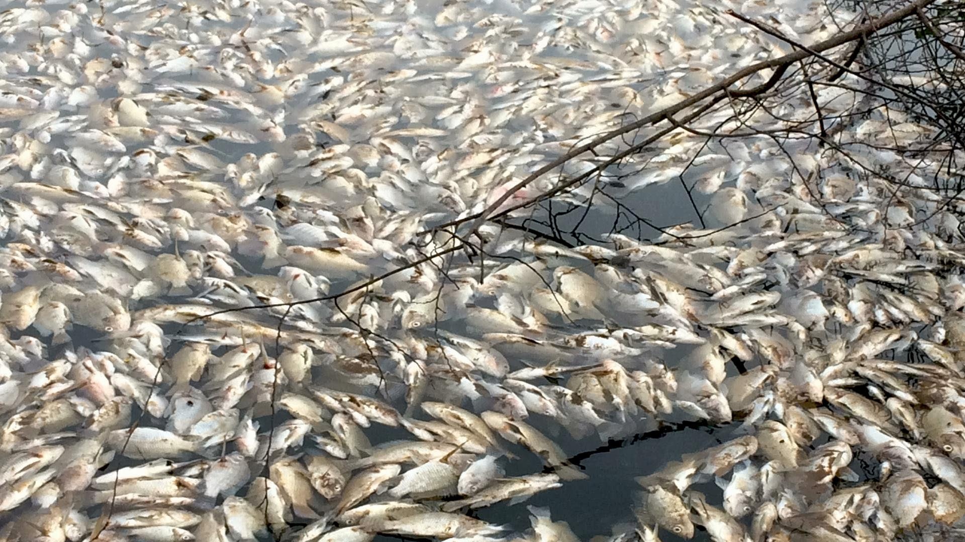 Hon 2 tan ca chet noi trang mat ho o Quang Tri hinh anh