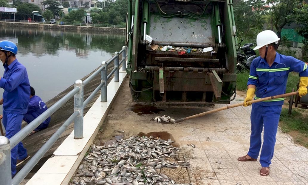 Ca chet trang ho o TP Dong Ha anh 1