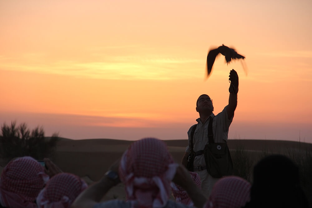 du lich o sa mac dubai anh 5