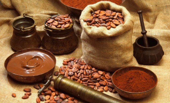 sự thật về chocolate ảnh 5 su that ve chocolate anh 5