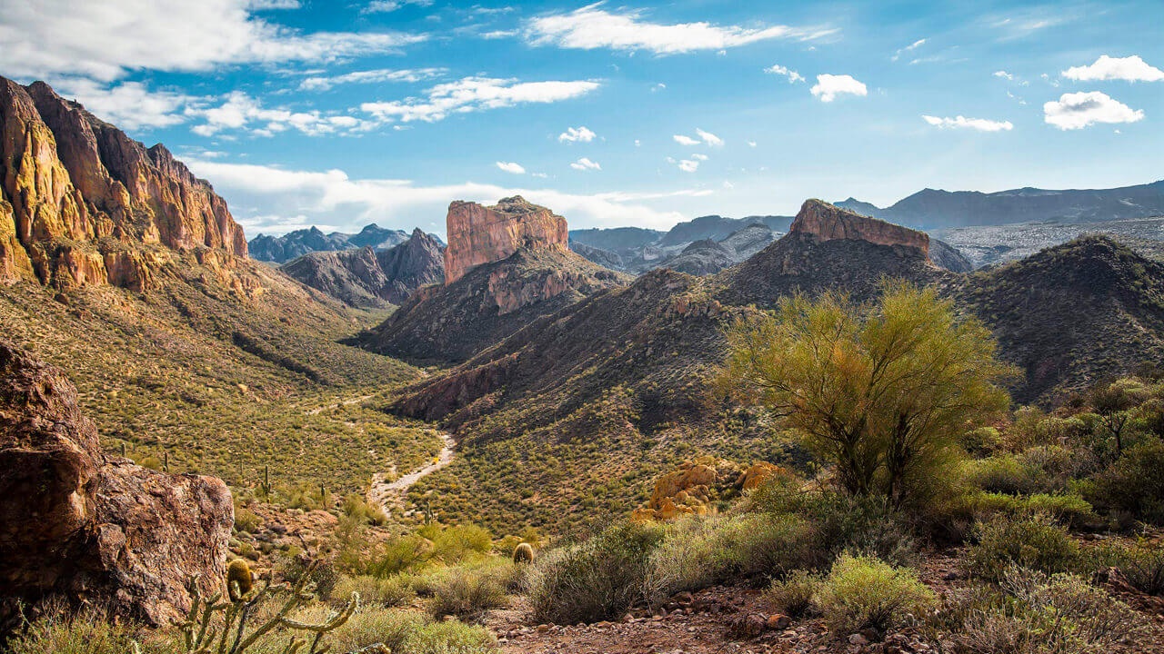 dao giau vang anh 12