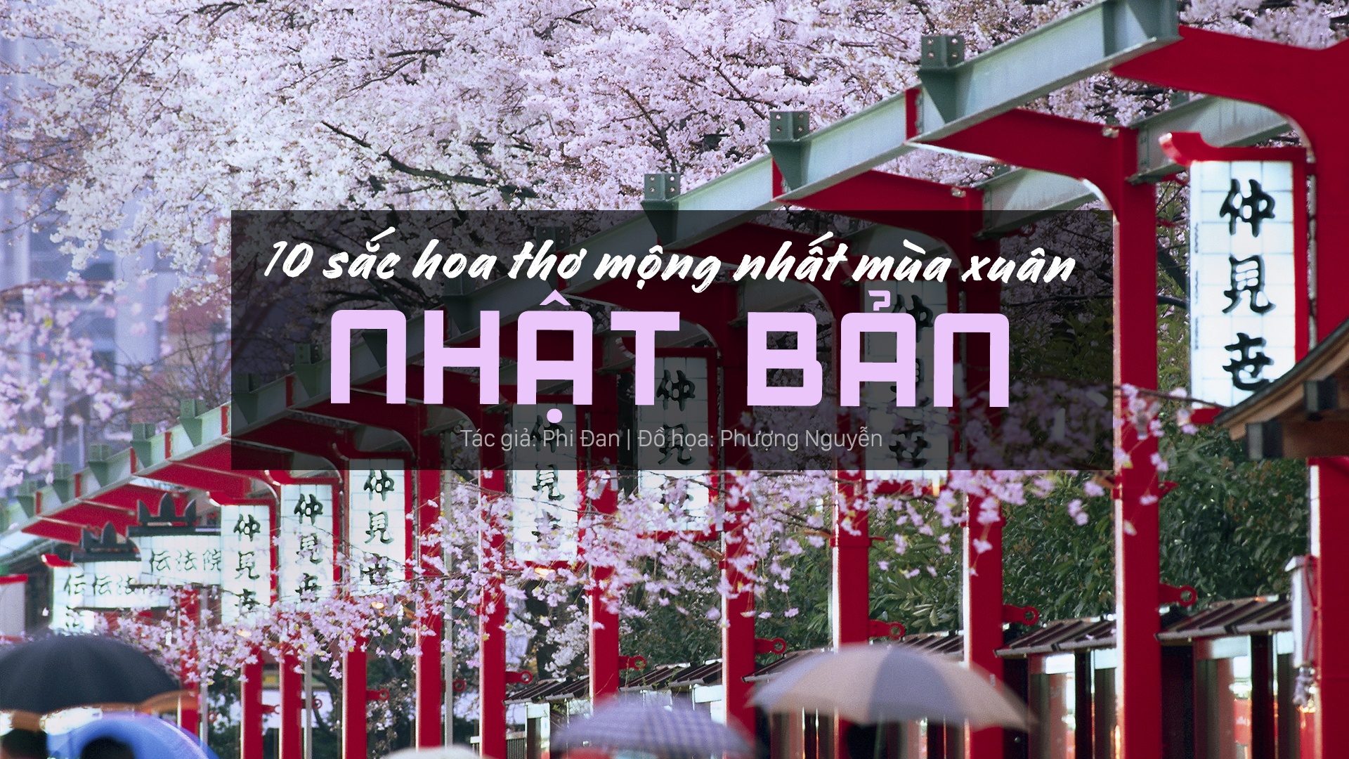 hoa xuân ở Nhật Bản ảnh 1 hoa xuan o Nhat Ban anh 1