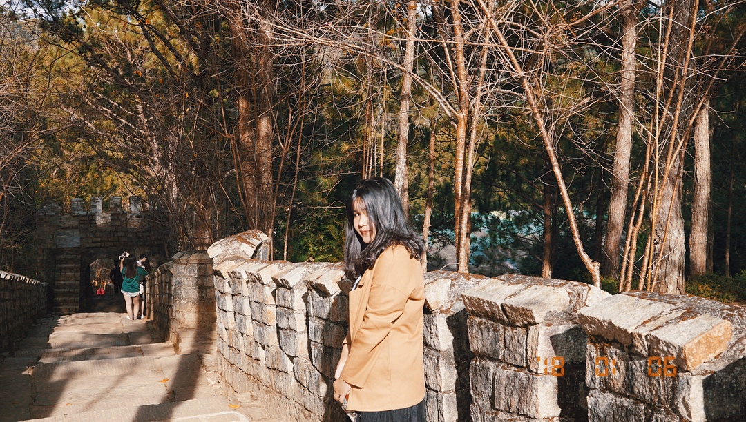 van ly truong thanh mini anh 1