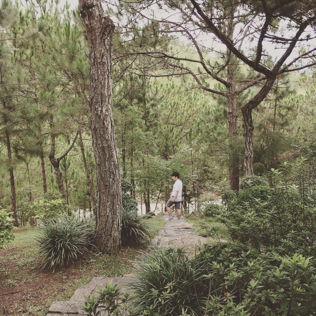 van ly truong thanh mini anh 9