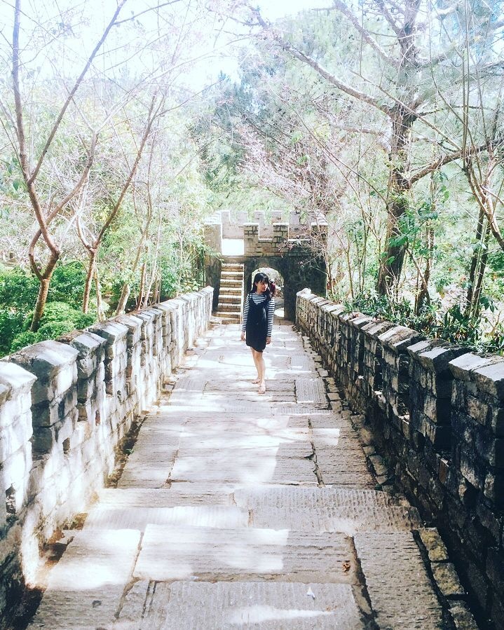 van ly truong thanh mini anh 2