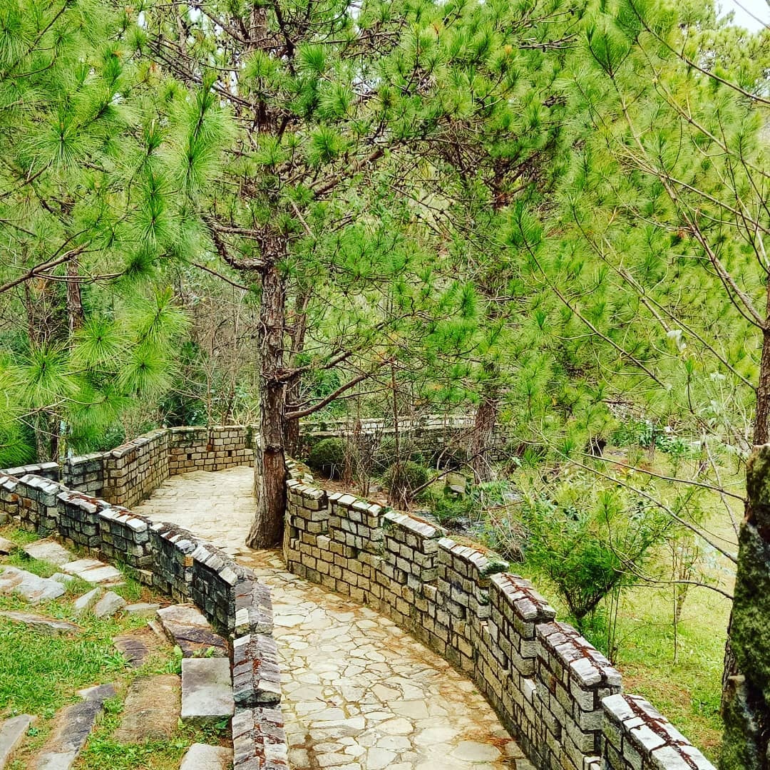 van ly truong thanh mini anh 8