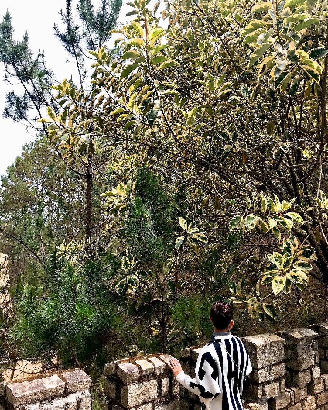 van ly truong thanh mini anh 3