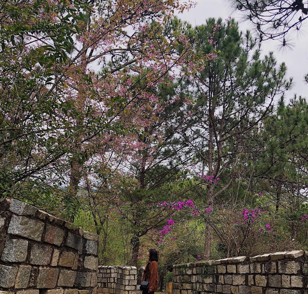 van ly truong thanh mini anh 6