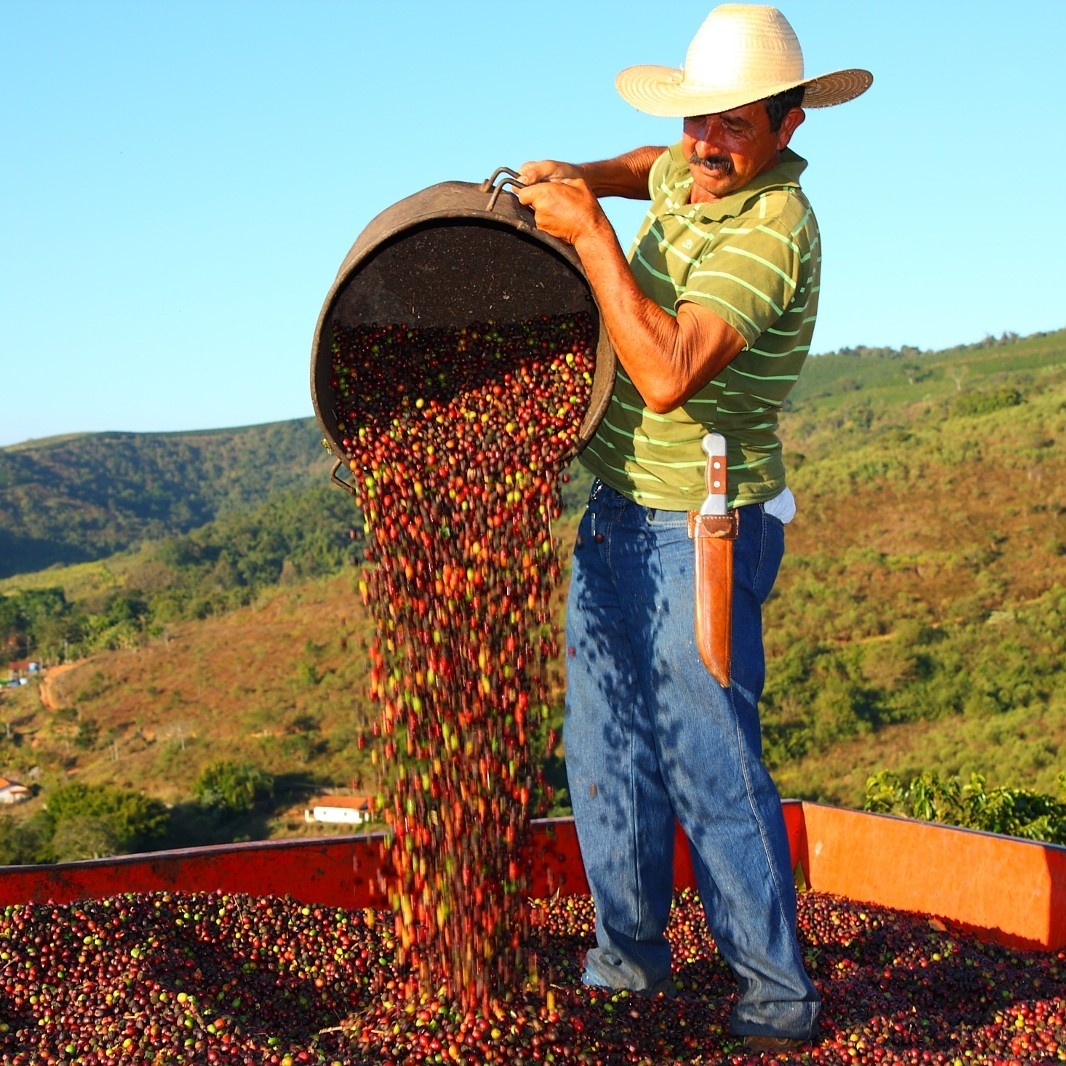 ca phe the gioi anh 7