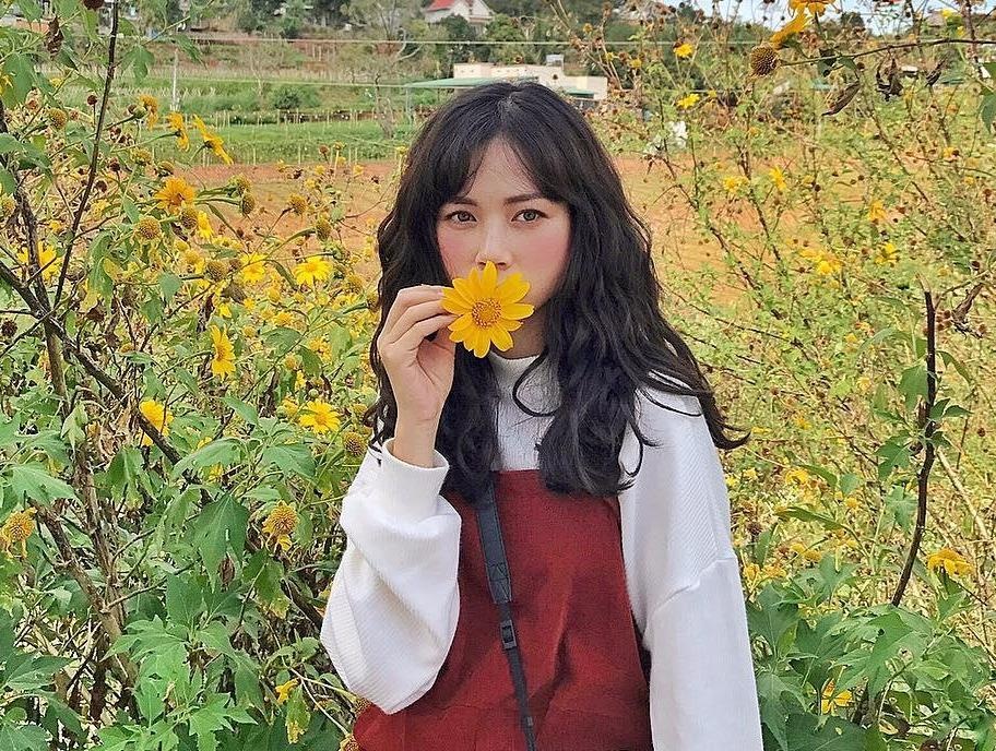 Cam tu cau, lavender va 5 mua hoa no dep nhat Da Lat hinh anh